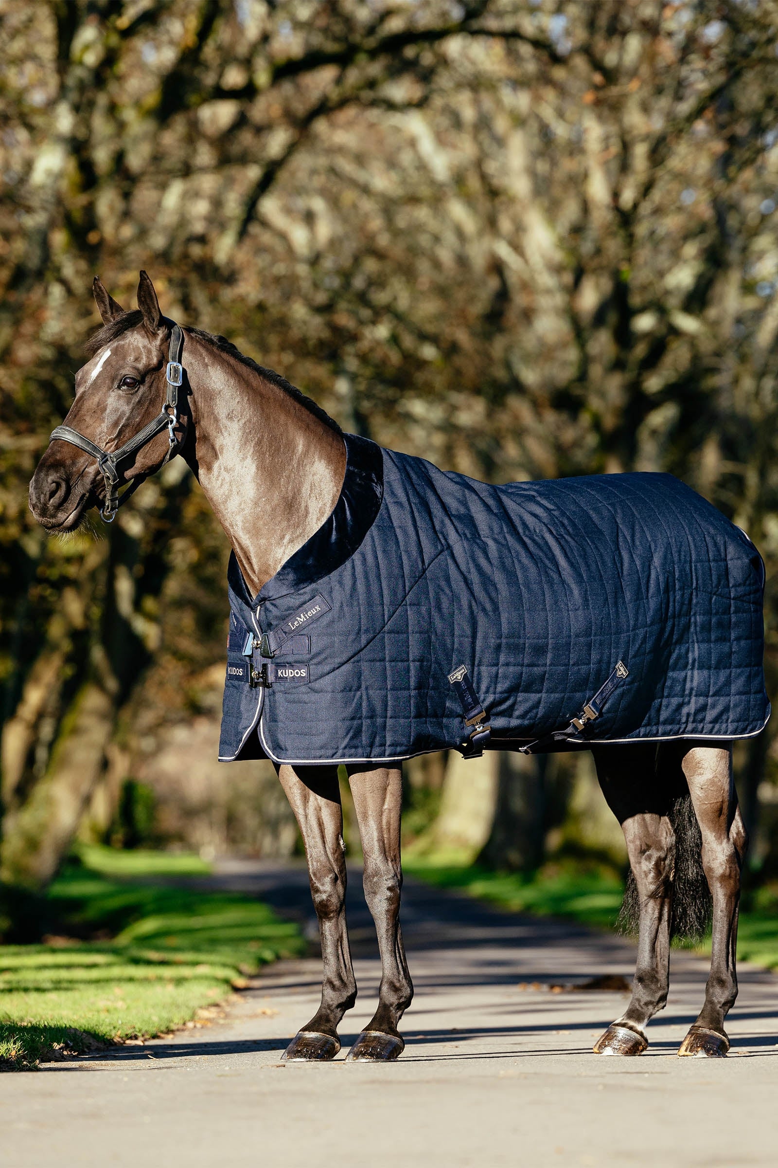 LeMieux Kudos Luxe Lined Stable Rug, 100 g Horse Rugs