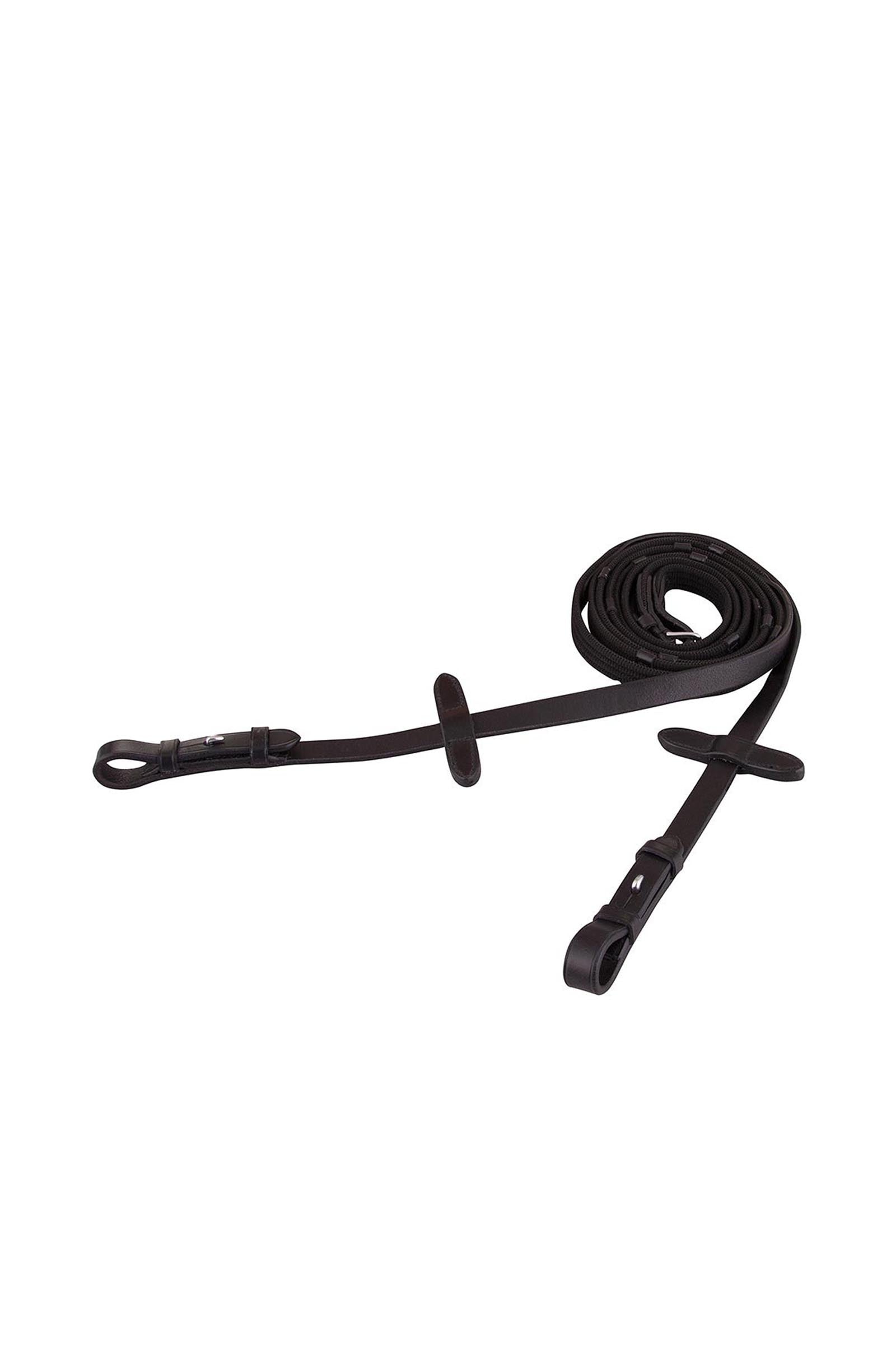 BR webteugels Hoofdstellen & Teugels