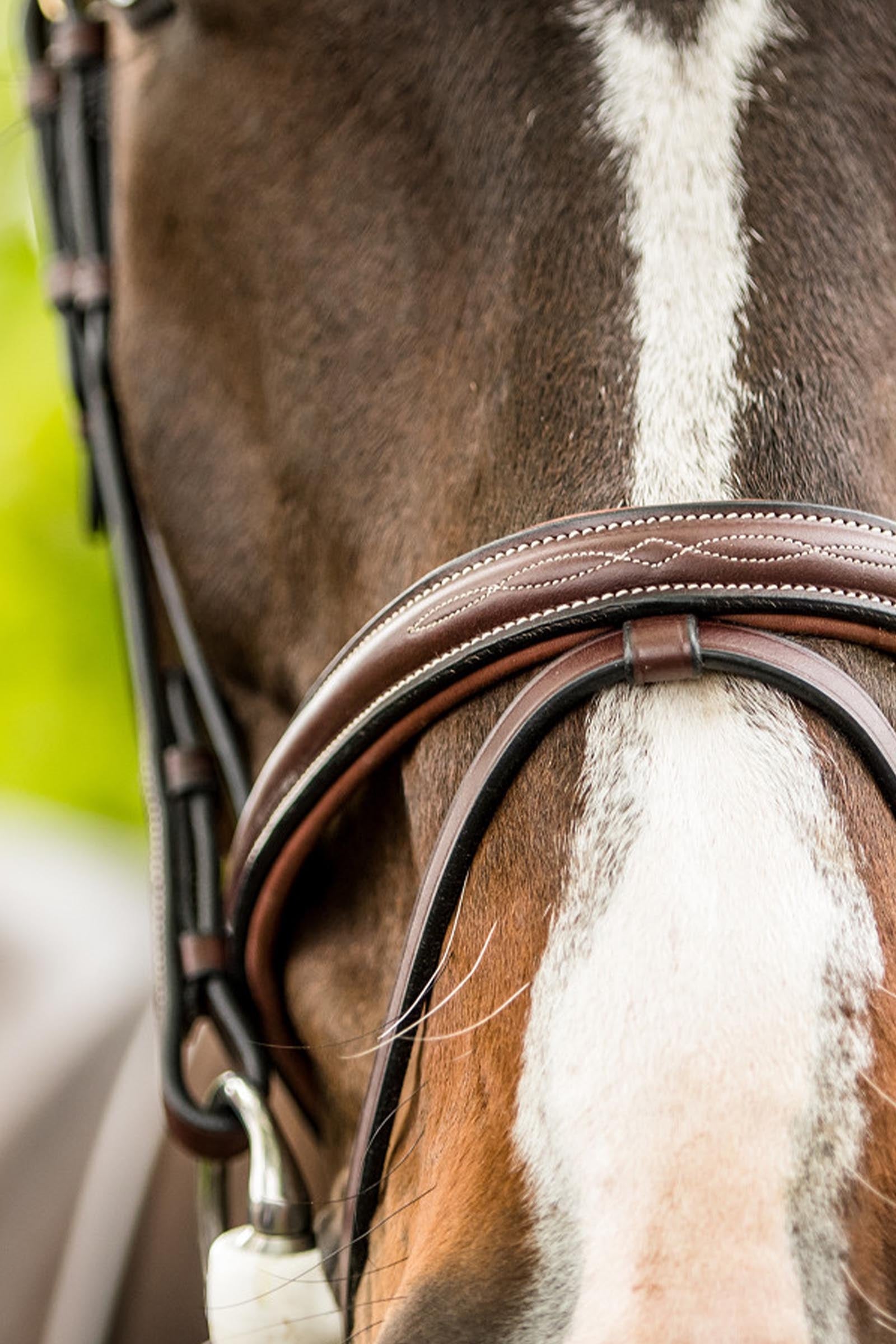 Trust Equestrian Calgary Combined Noseband Bridle Bridles & Reins