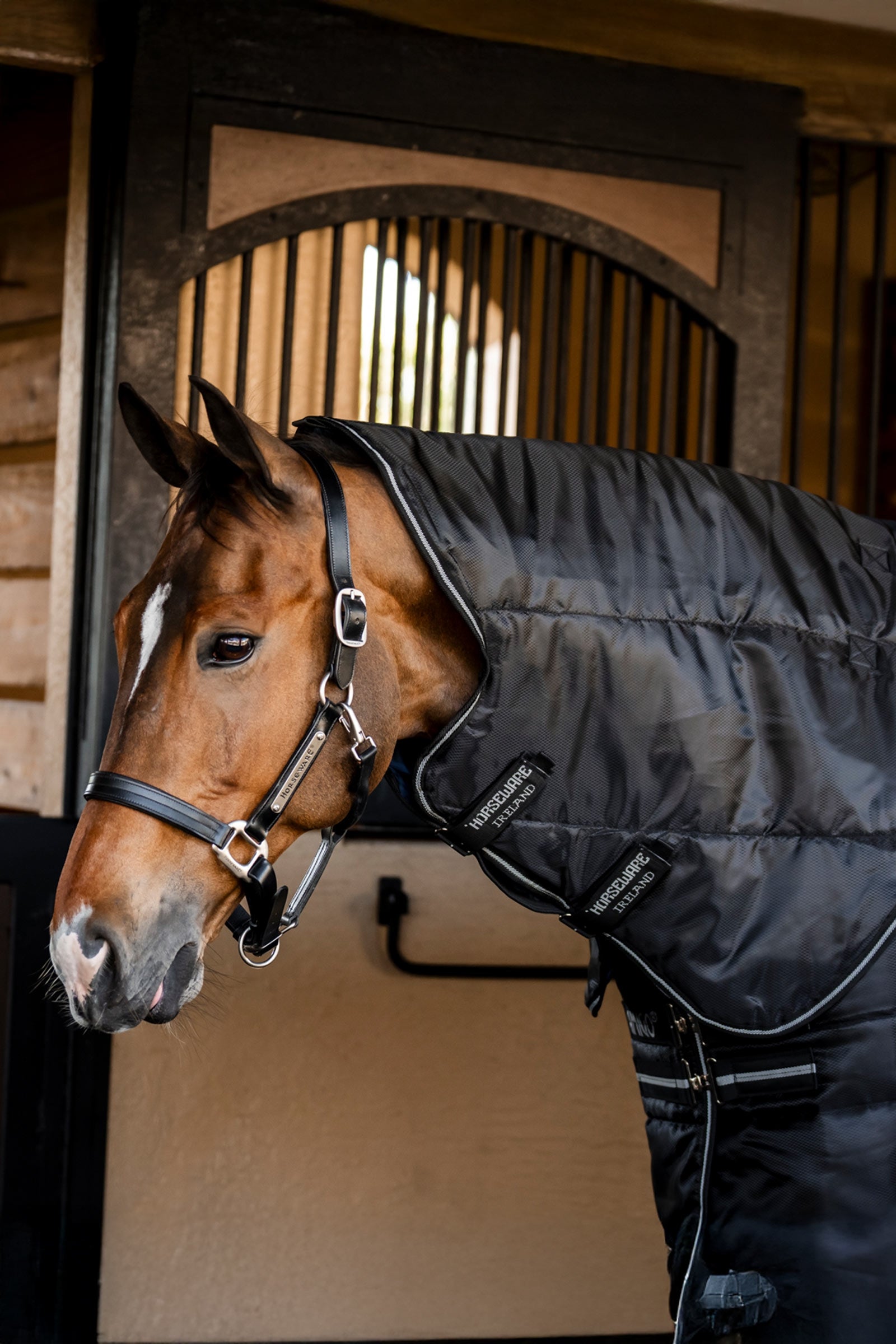 Horseware Amigo Ripstop Insulator Plus Stable Rug, 200 g Horse Rugs