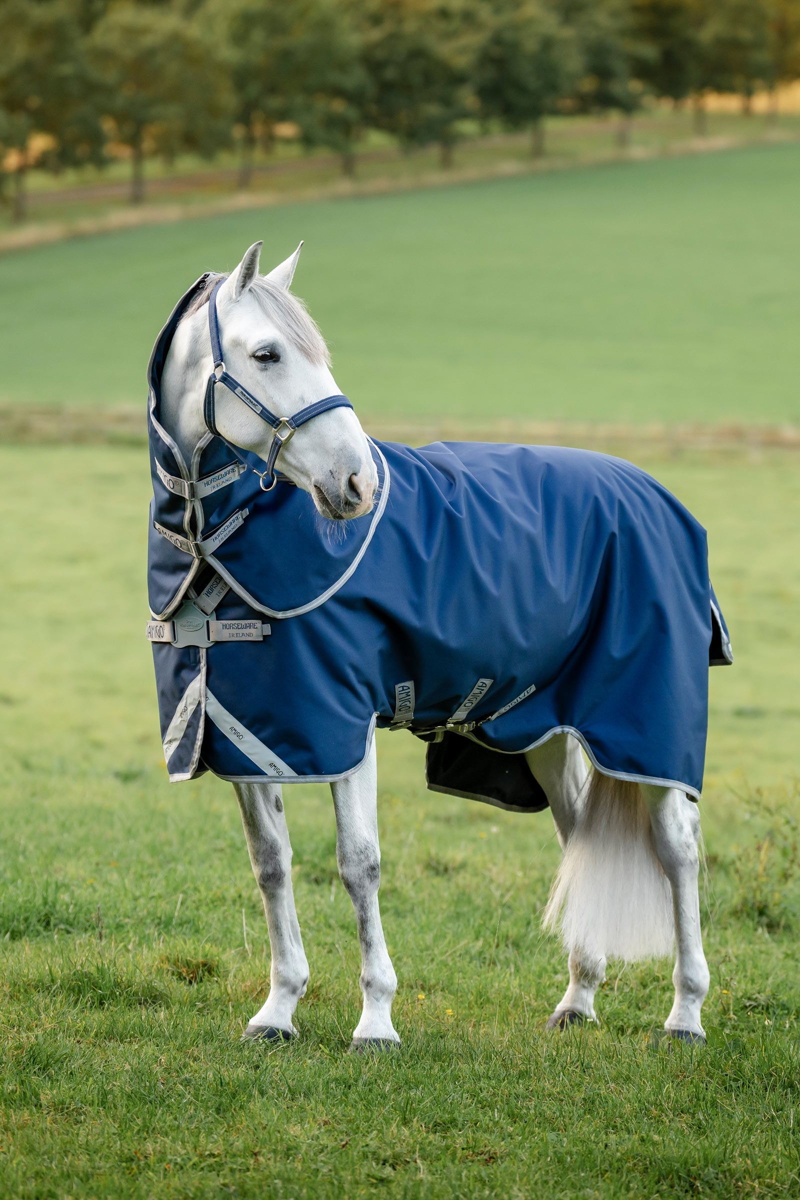 Horseware Amigo 1200D FieldSafe Plus Turnout Rug, 0 g Horse Rugs