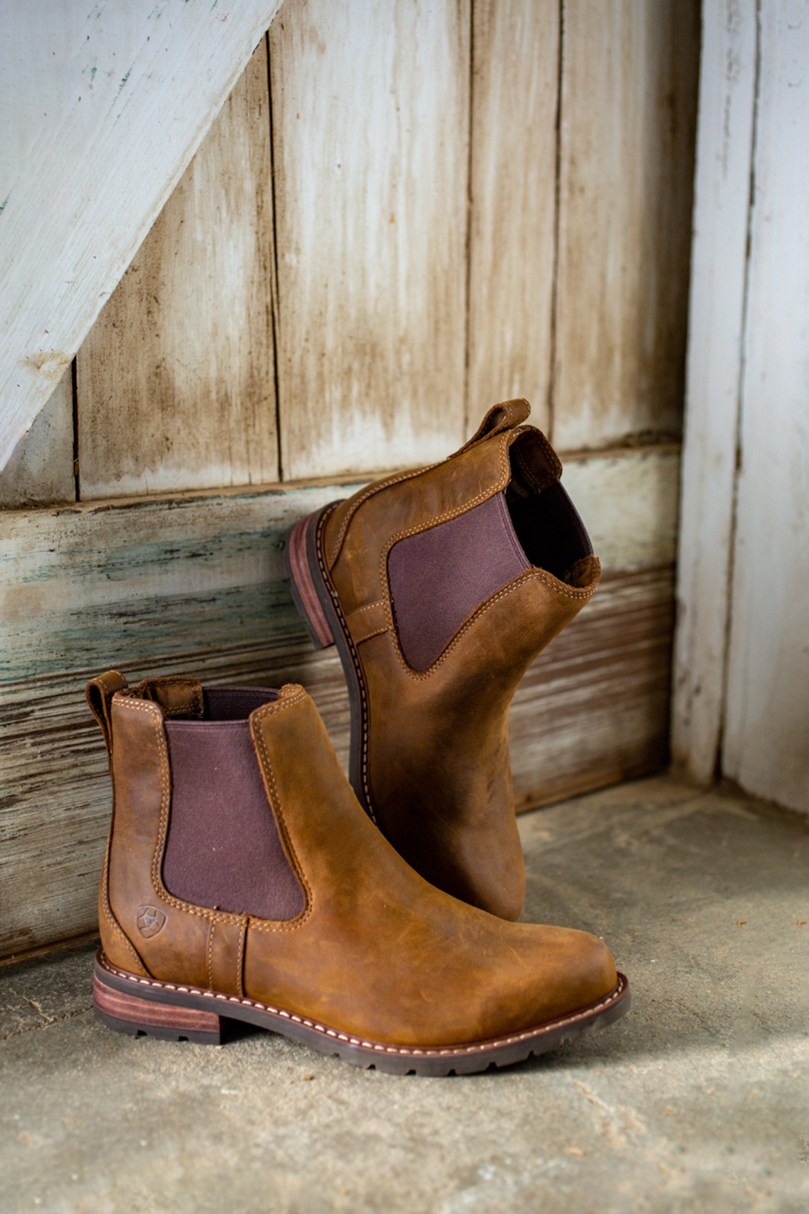 Ariat Wexford Women's Waterproof Boots Riding Boots & Riding Shoes