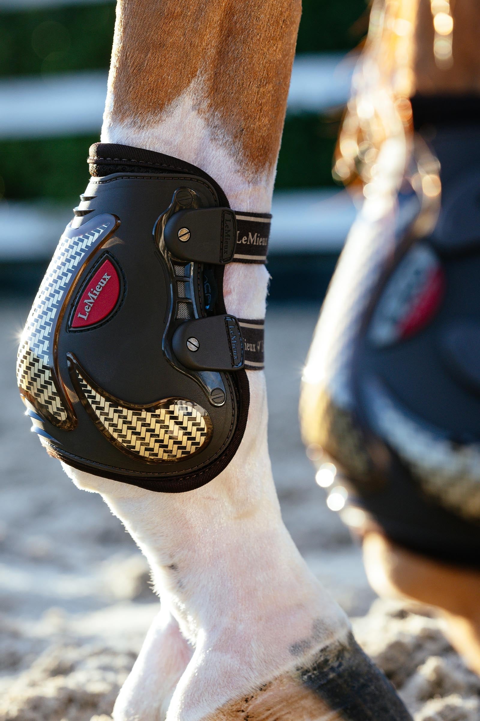 LeMieux EXO Flex Ankle Boots Leg & Hoof Protection