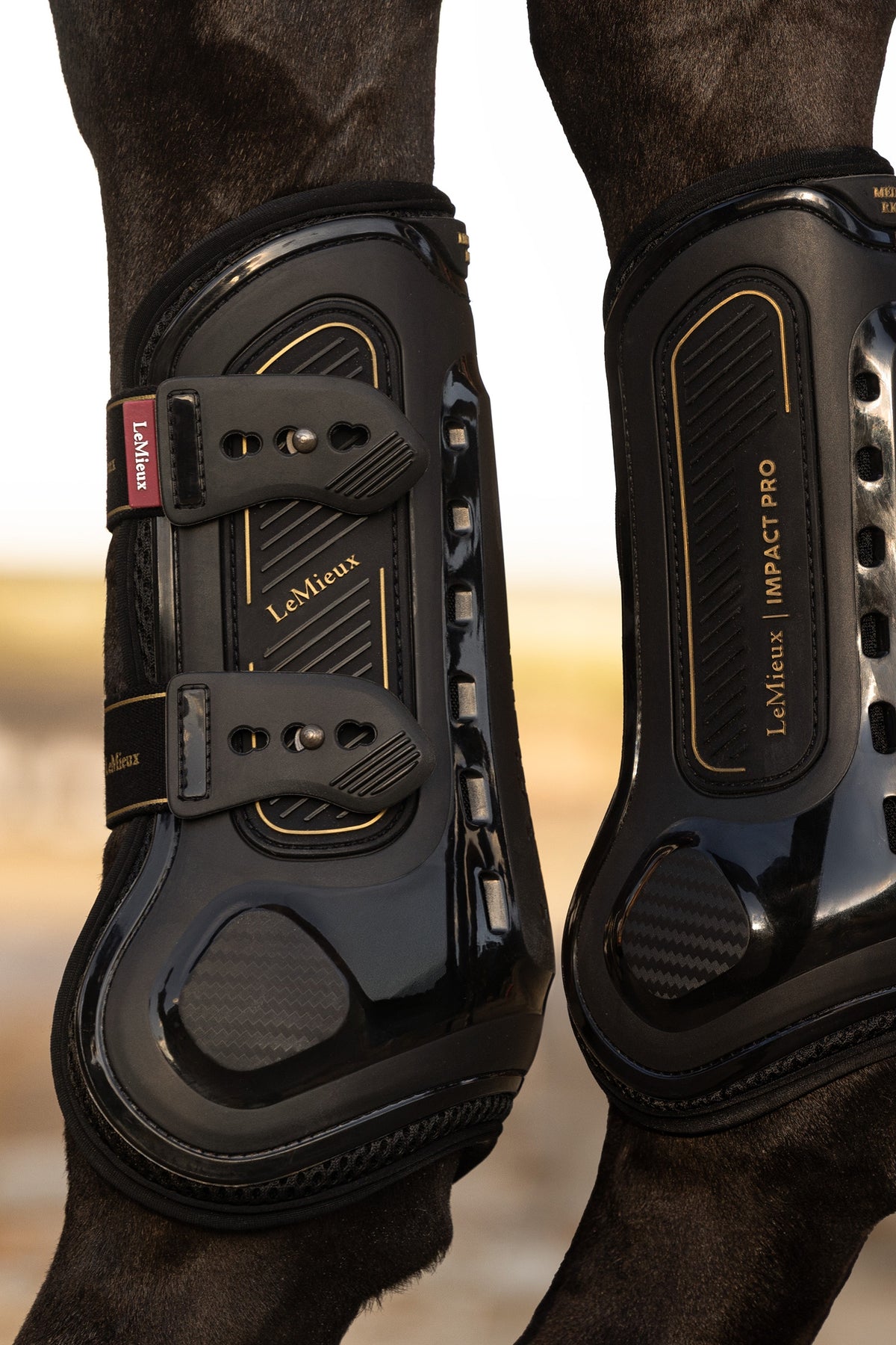 LeMieux Lemieux Impact Pro Tendon Boot Leg & Hoof Protection