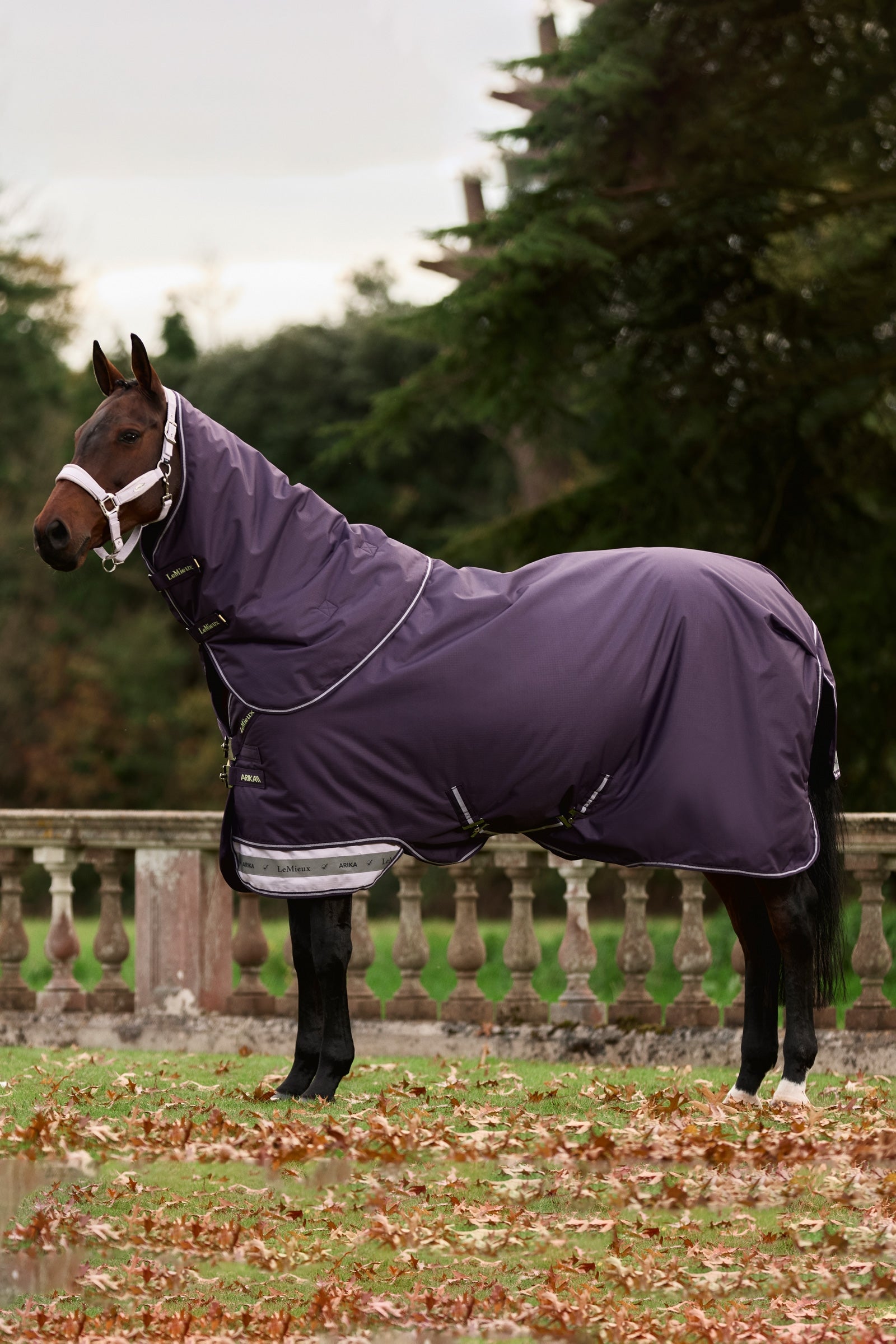LeMieux Arika Ripstop Turnout Rug With Detachable Neck, 0 g Paardendekens