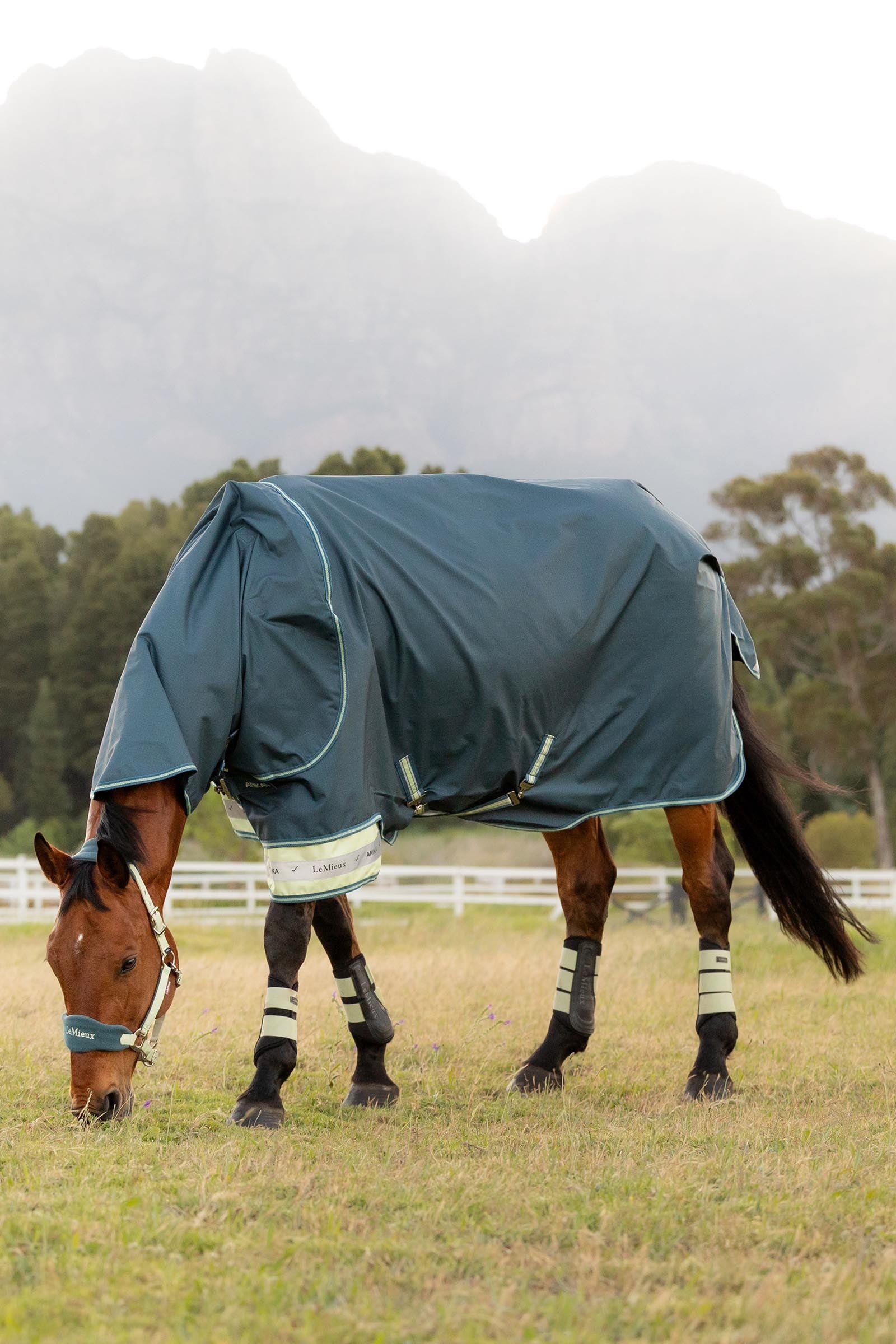 LeMieux Arika Ripstop Turnout Rug With Detachable Neck, 0 g Horse Rugs