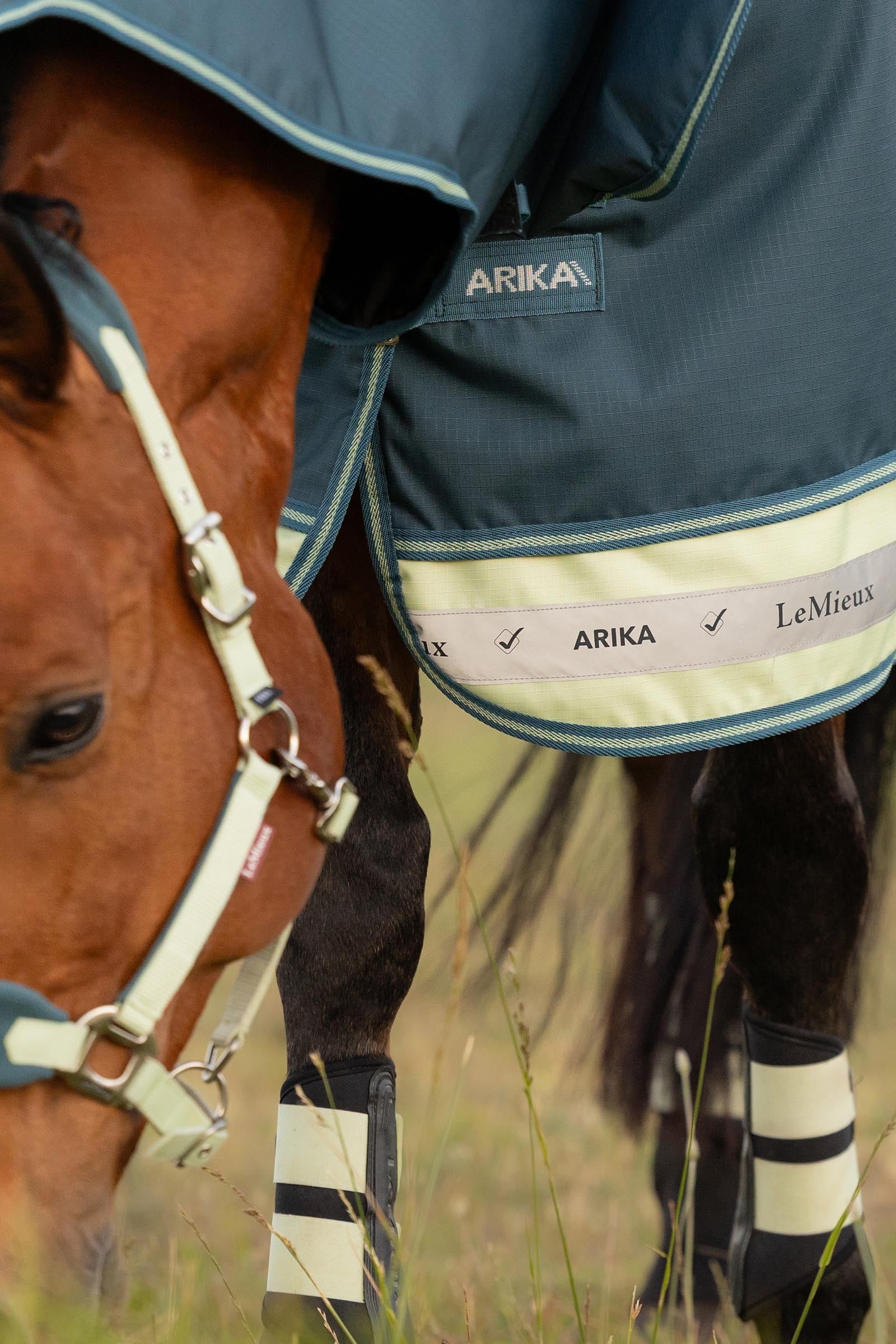 LeMieux Arika Ripstop Turnout Rug With Detachable Neck, 0 g Horse Rugs