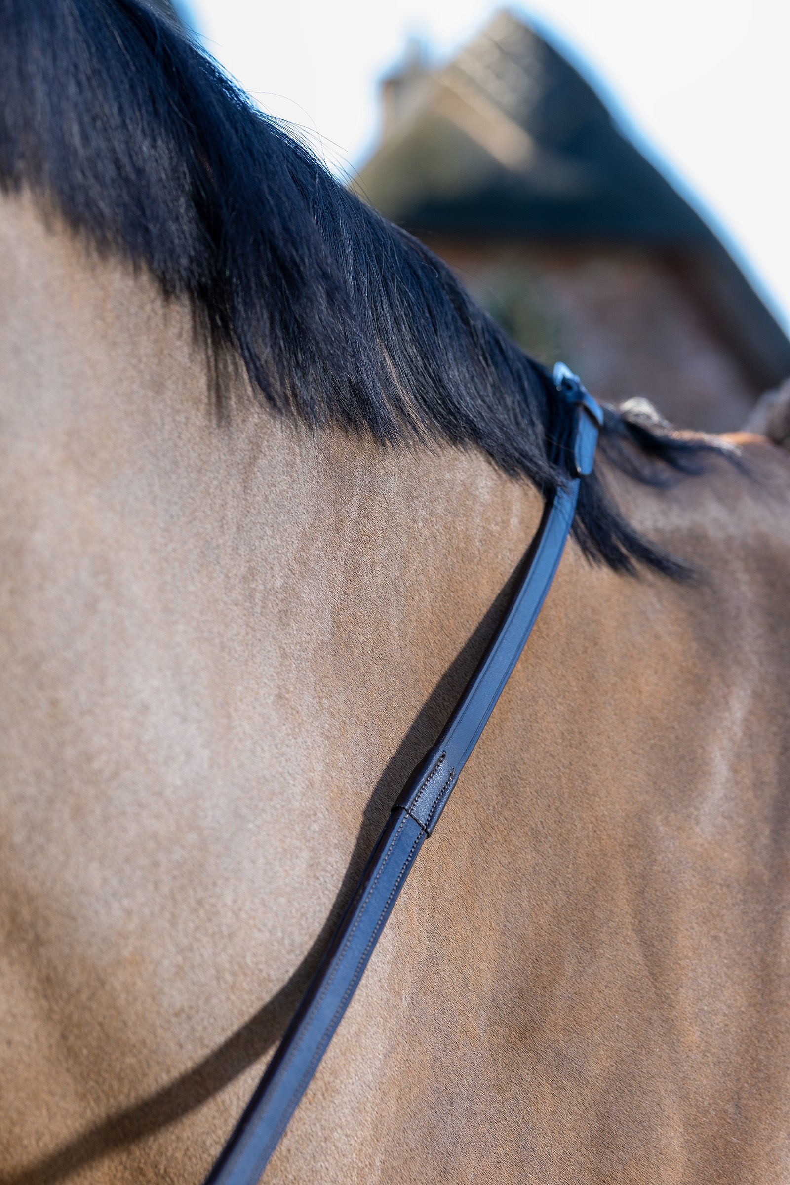 LeMieux Rubber Grip Continental Reins Bridles & Reins