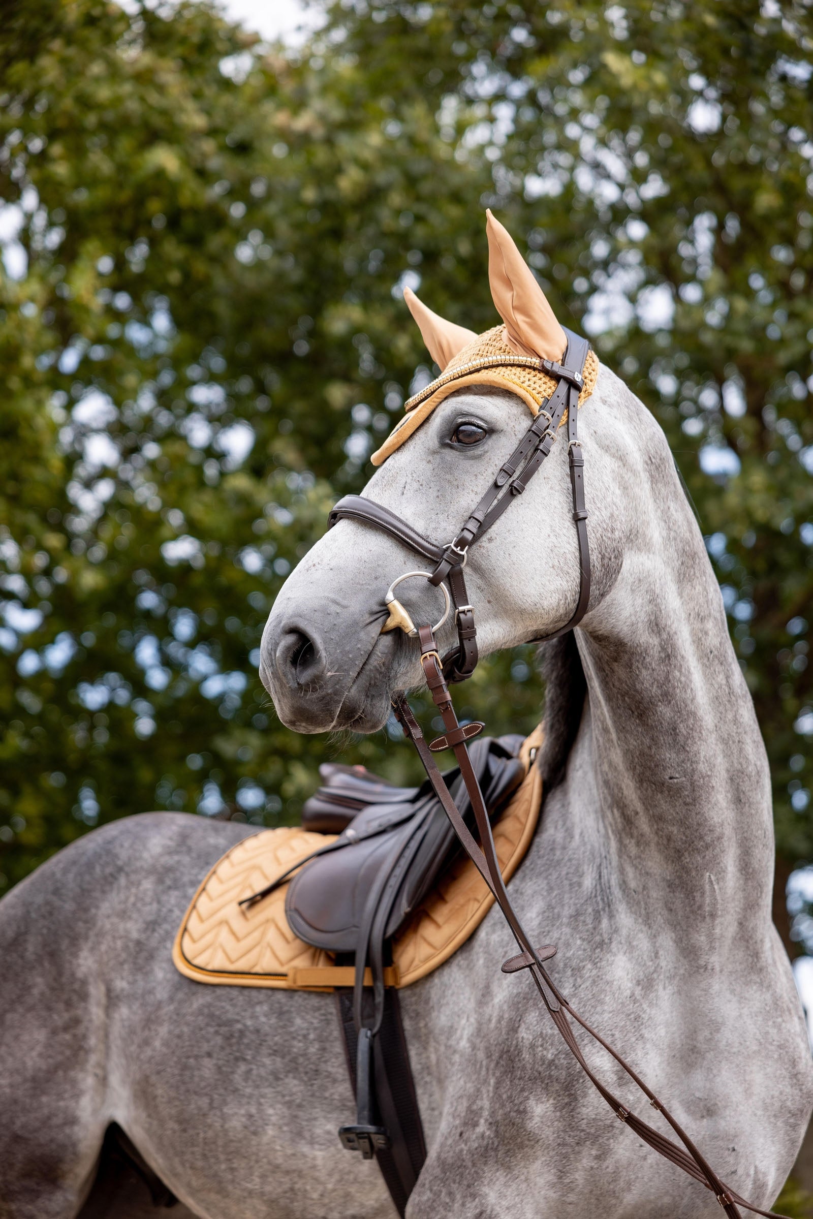 Horze Delémont Ear Net Saddle Pads