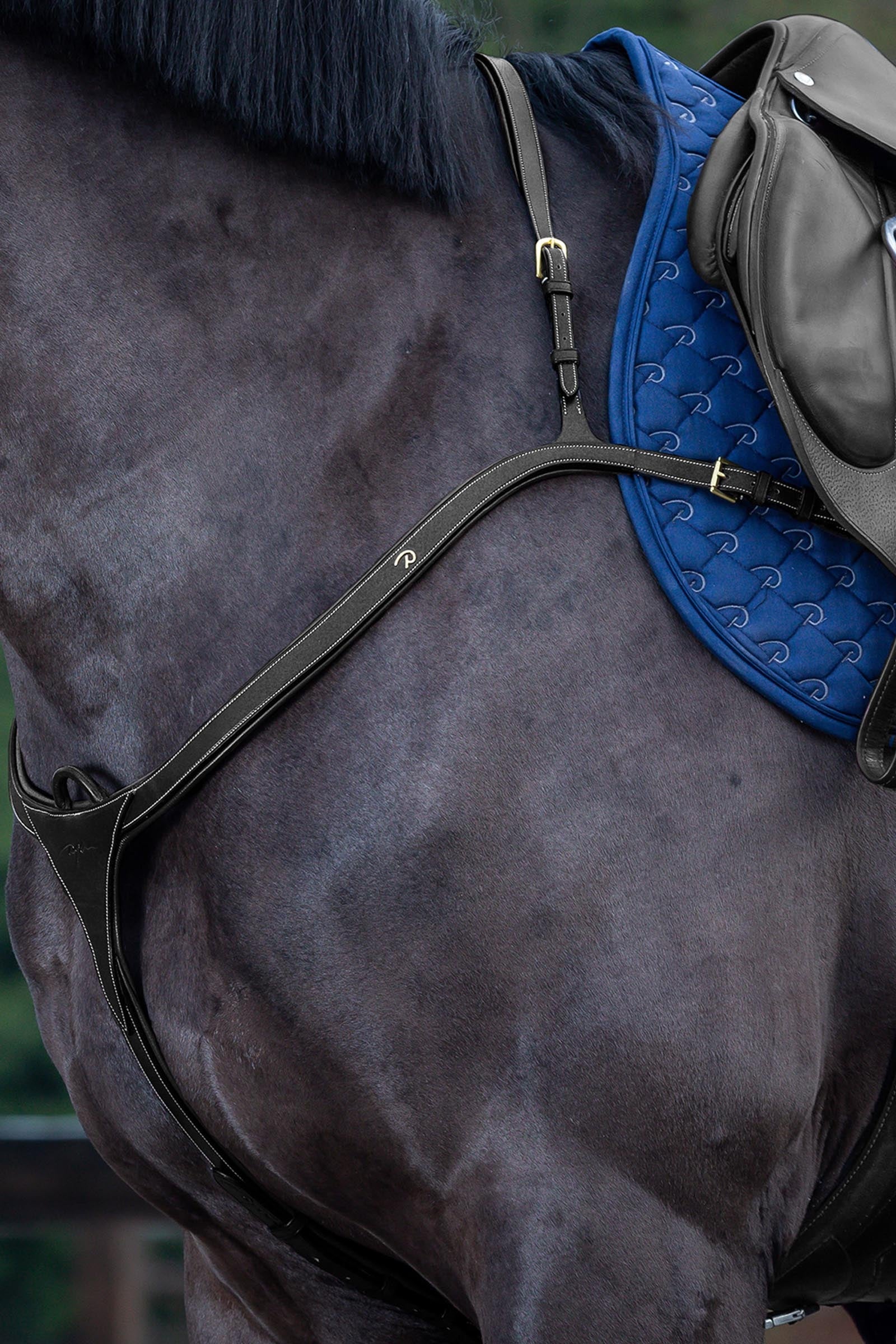 Dy'on D Collection voortuig met lange brug Hoofdstellen & Teugels