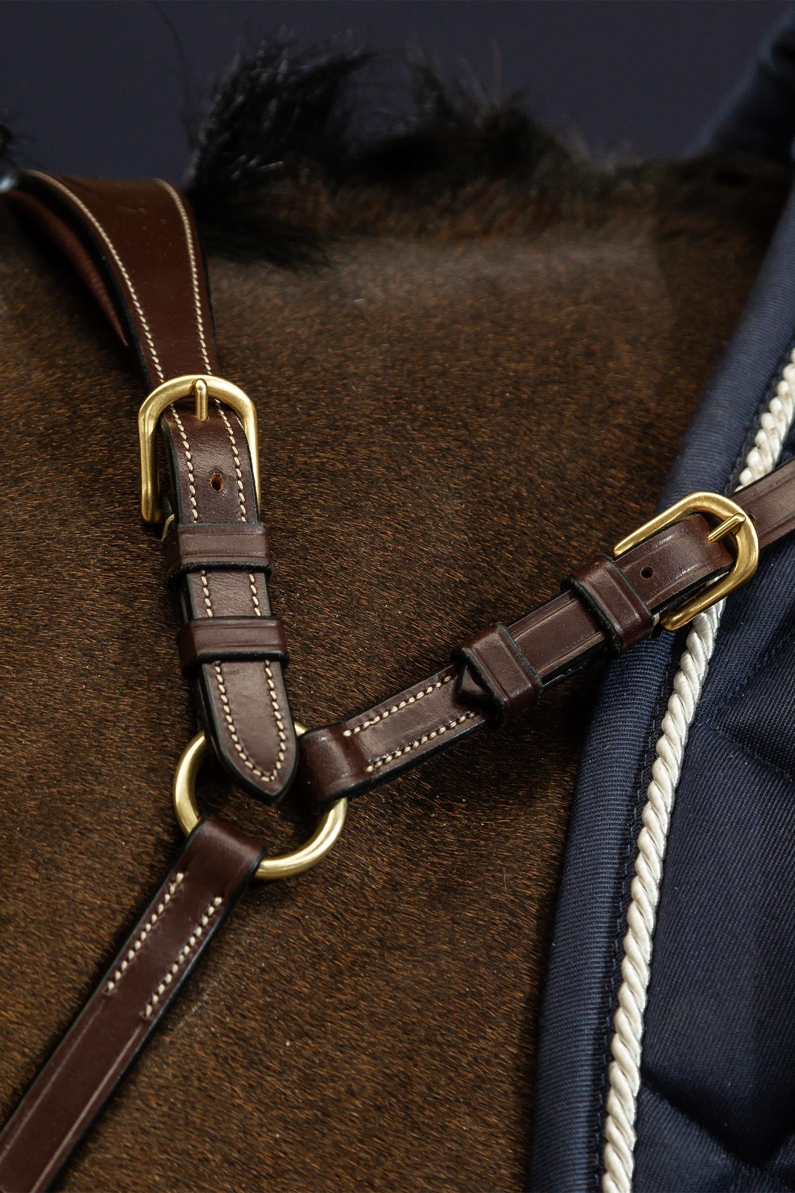 Dy'on D Collection Long Bridge Breastplate Bridles & Reins