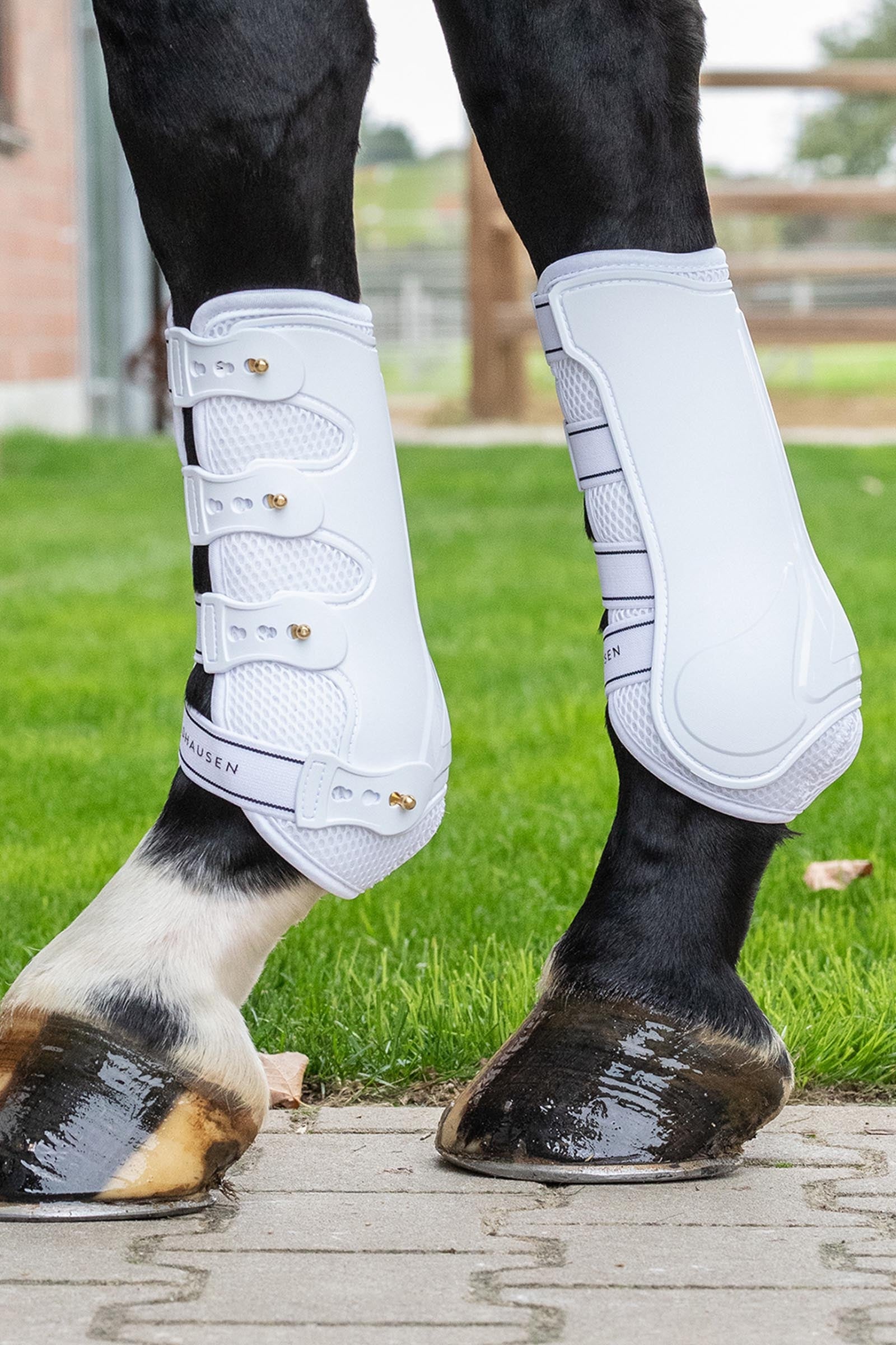 Waldhausen Breath Tendon Boots (Pair) Leg Protection & Hoof Protection for Horses