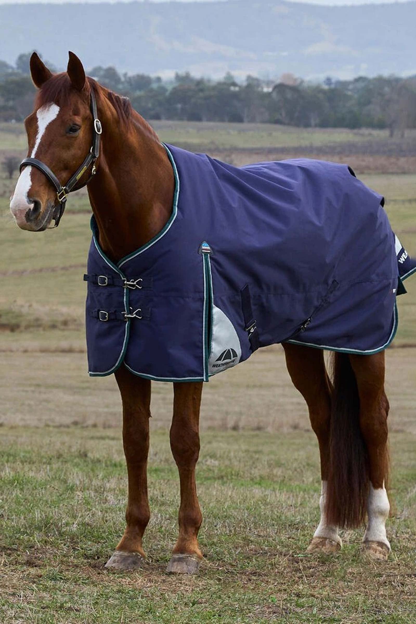 Weatherbeeta ComFiTecPlus Dynamic Turnout Standard Neck 0G Paardendekens