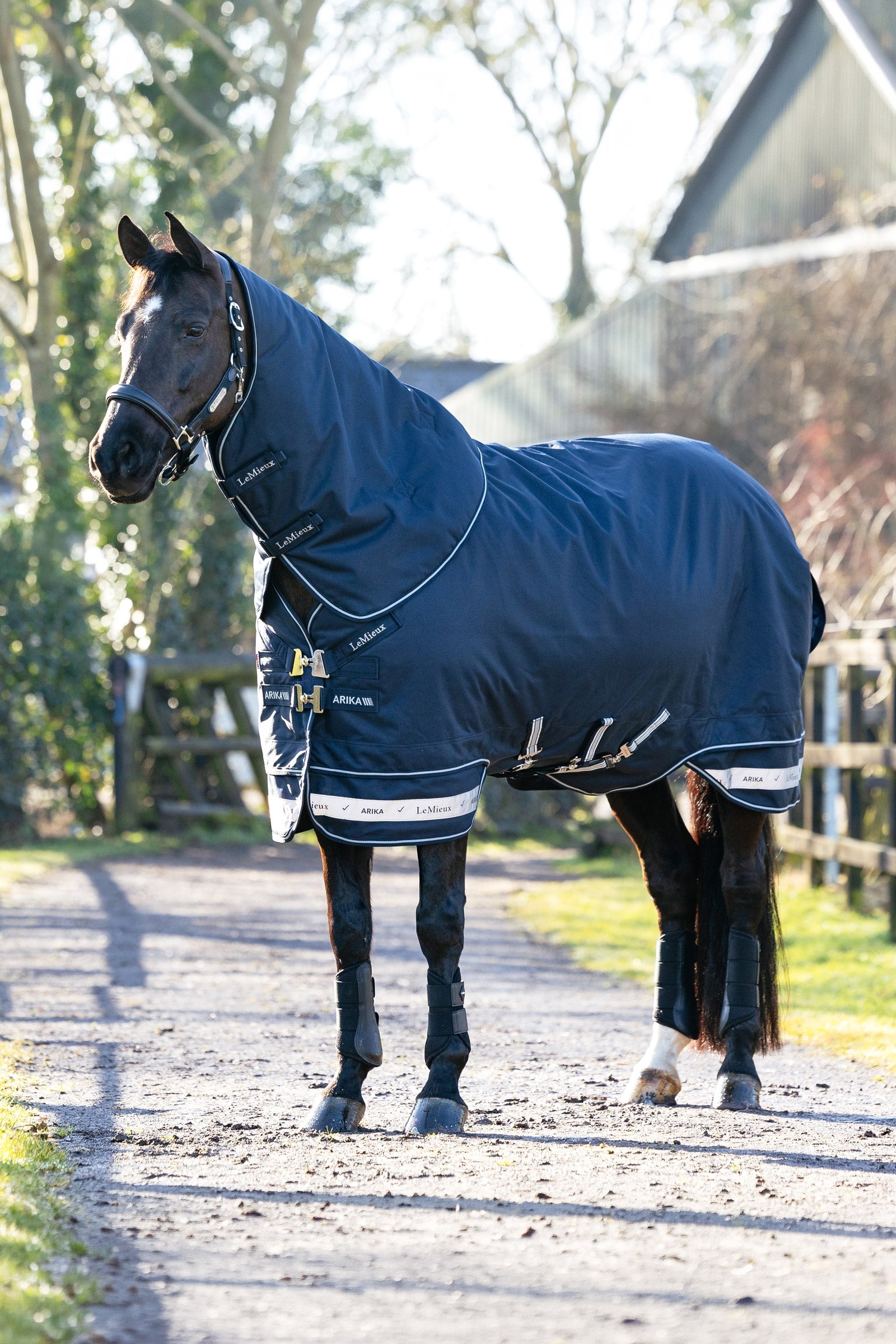 LeMieux Arika Storm-Tek Turnout Rug, 350 g Paardendekens