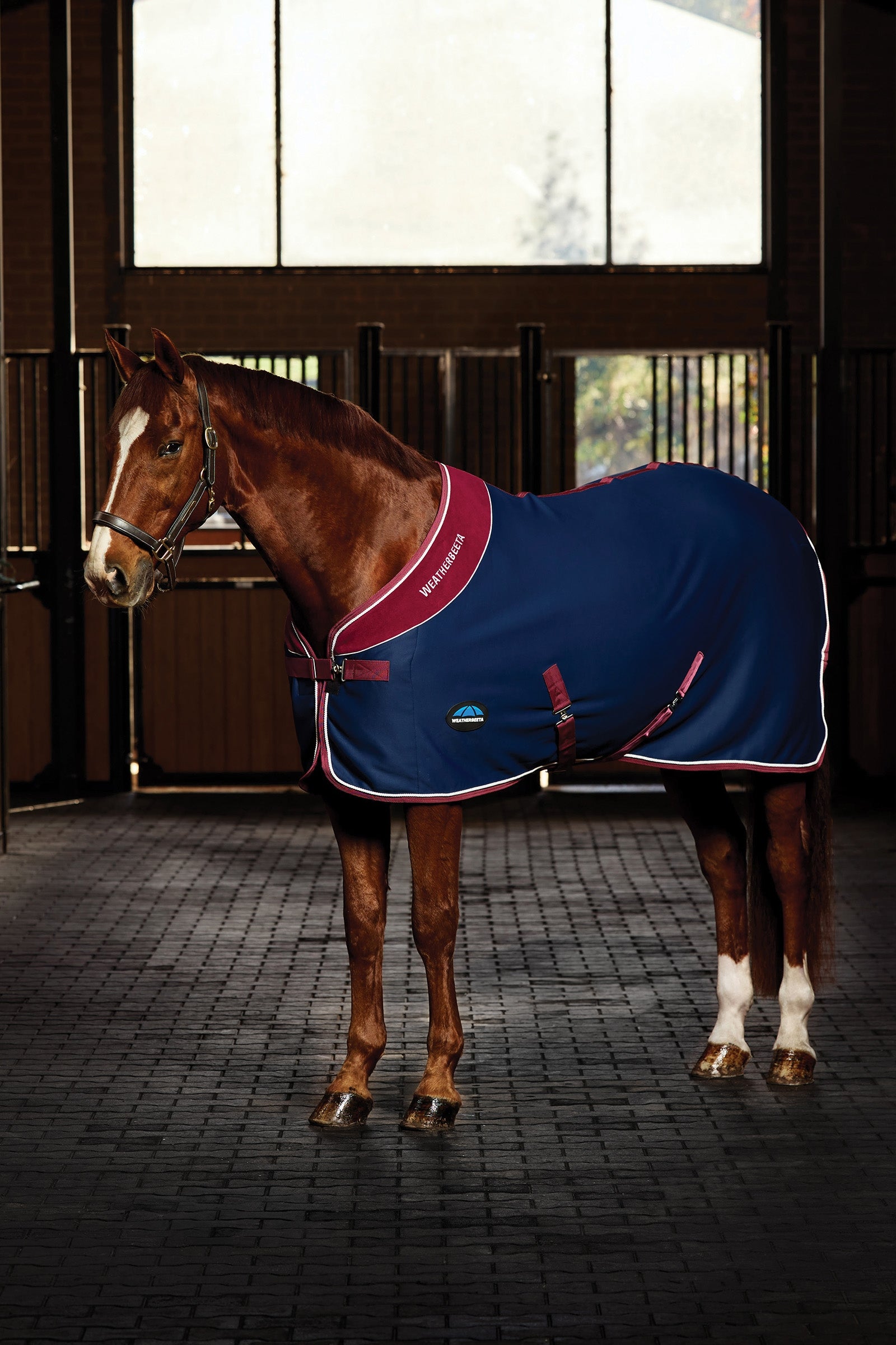 Weatherbeeta Opulence Showdeken Standaard hals Paardendekens