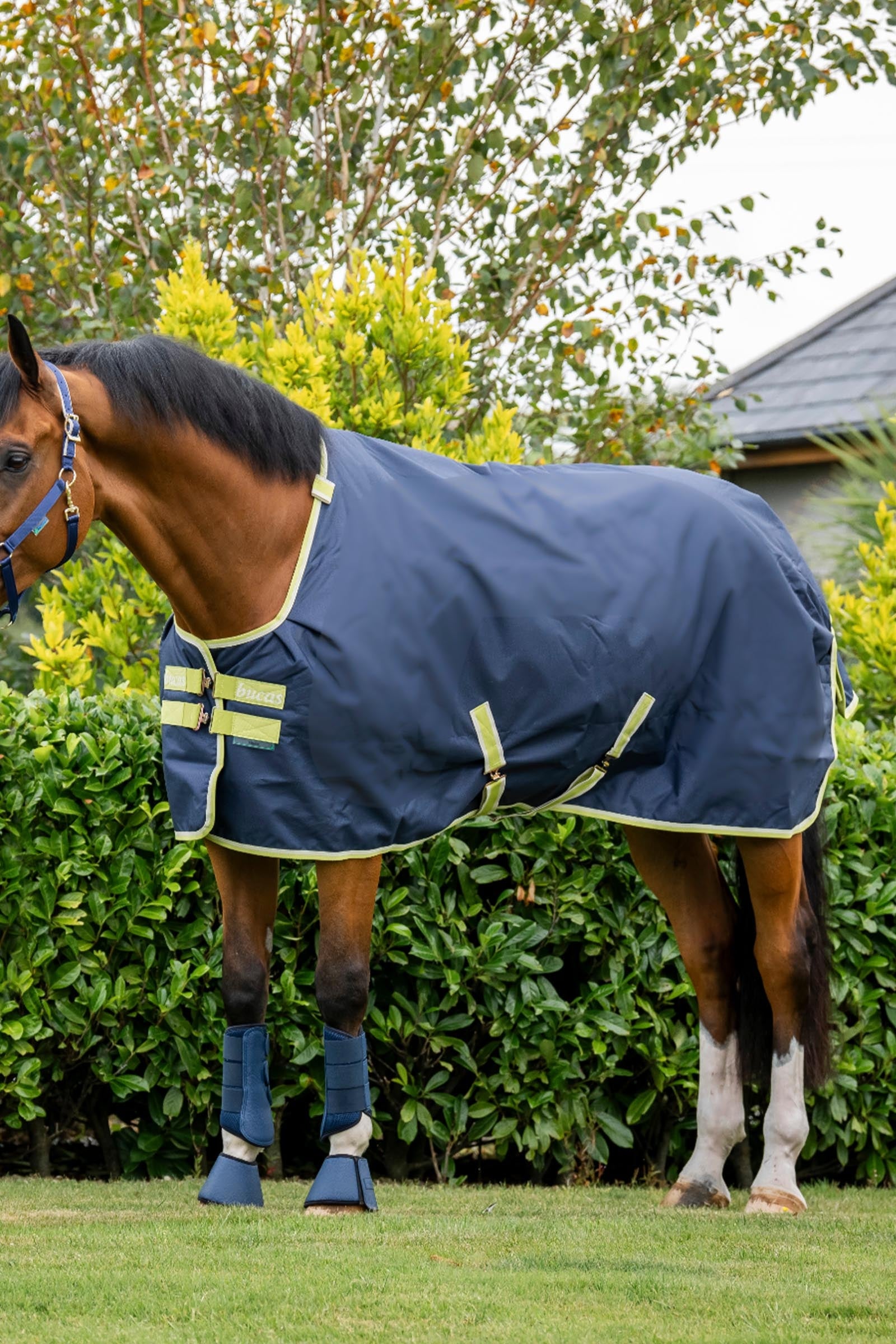 Bucas Oasis Turnout + Neck Set, 100g Horse Rugs