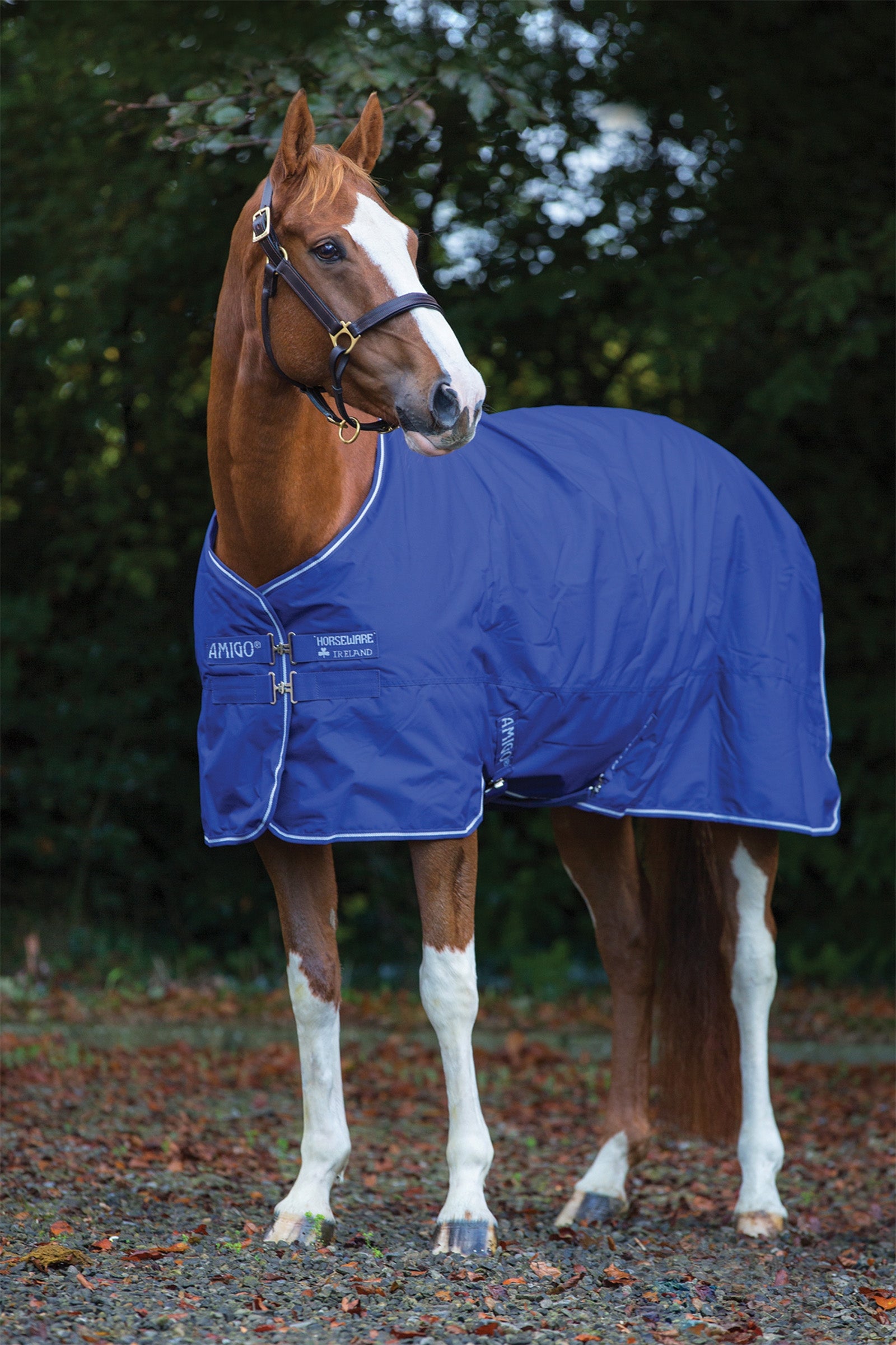 Horseware Amigo Hero 900 Plus Medium buitendeken, 200g Paardendekens