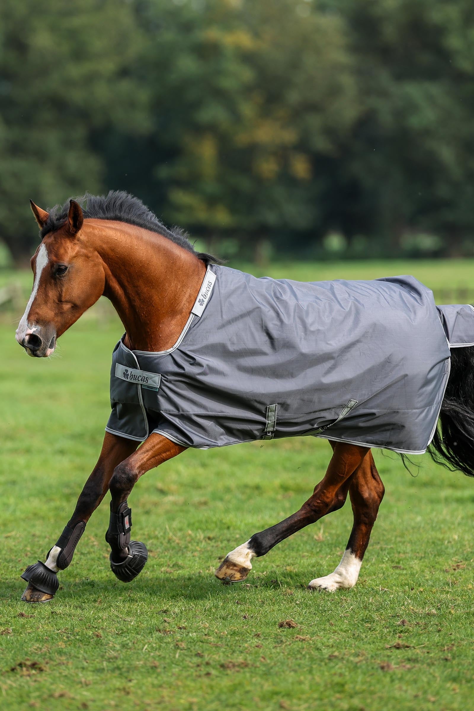 Bucas Smartex Rain Turnout Rug, 0g Horse Rugs