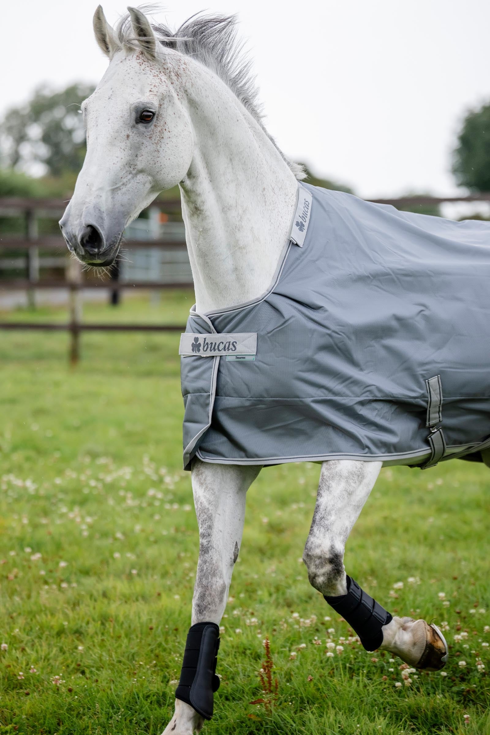 Bucas Smartex Rain Turnout Rug, 0g Horse Rugs