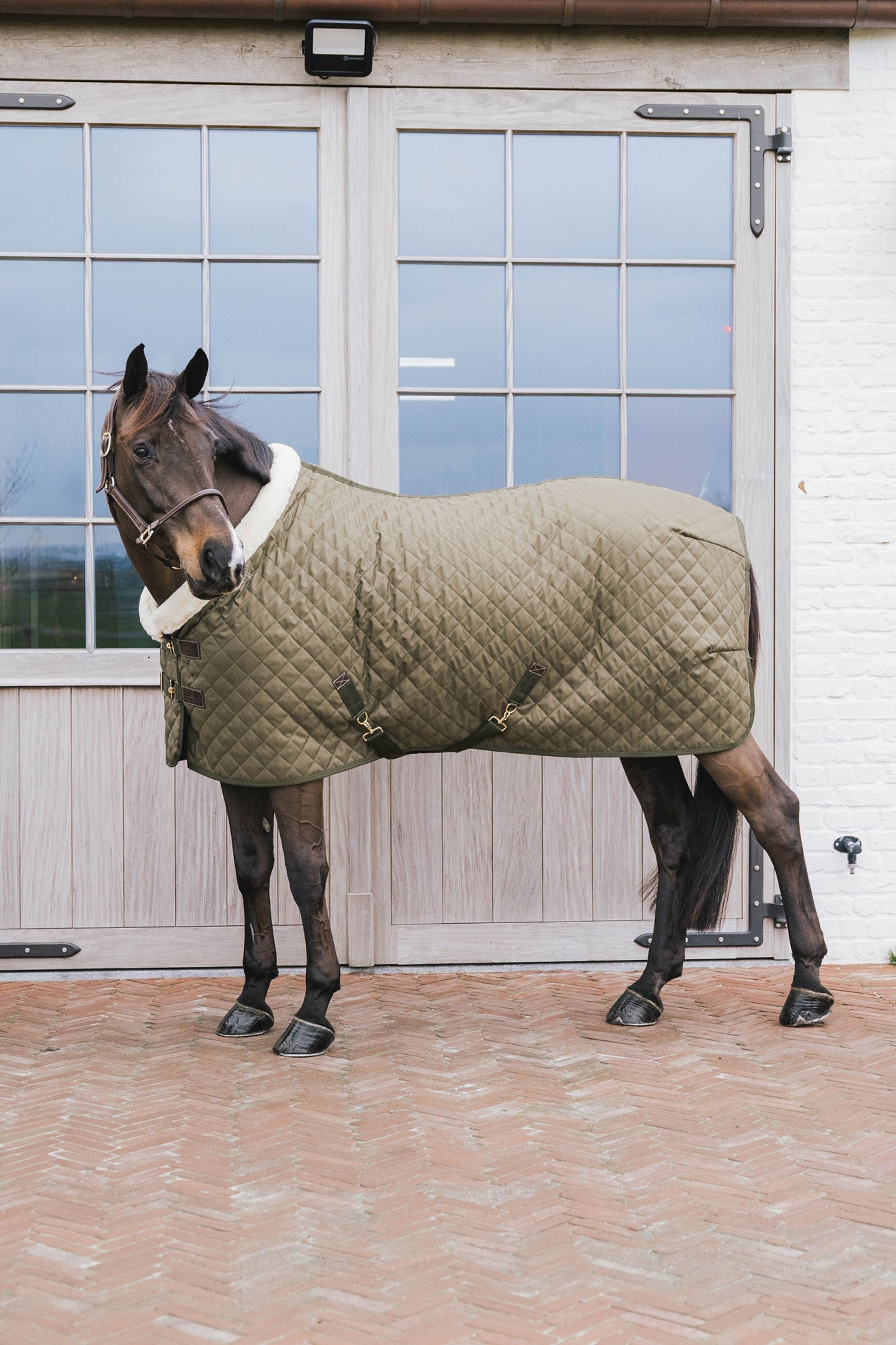 Kentucky Horsewear Showdeken 160g Paardendekens
