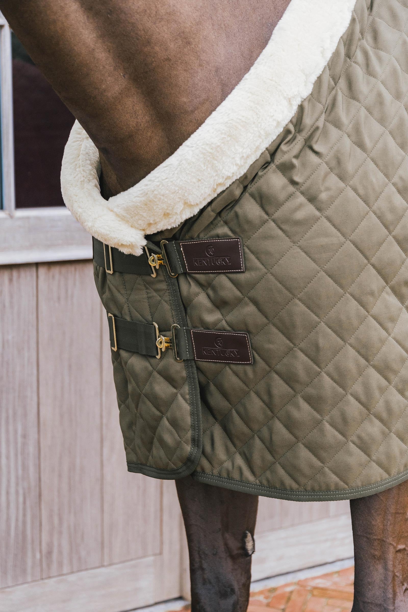 Kentucky Horsewear Show rug 160g Horse Rugs