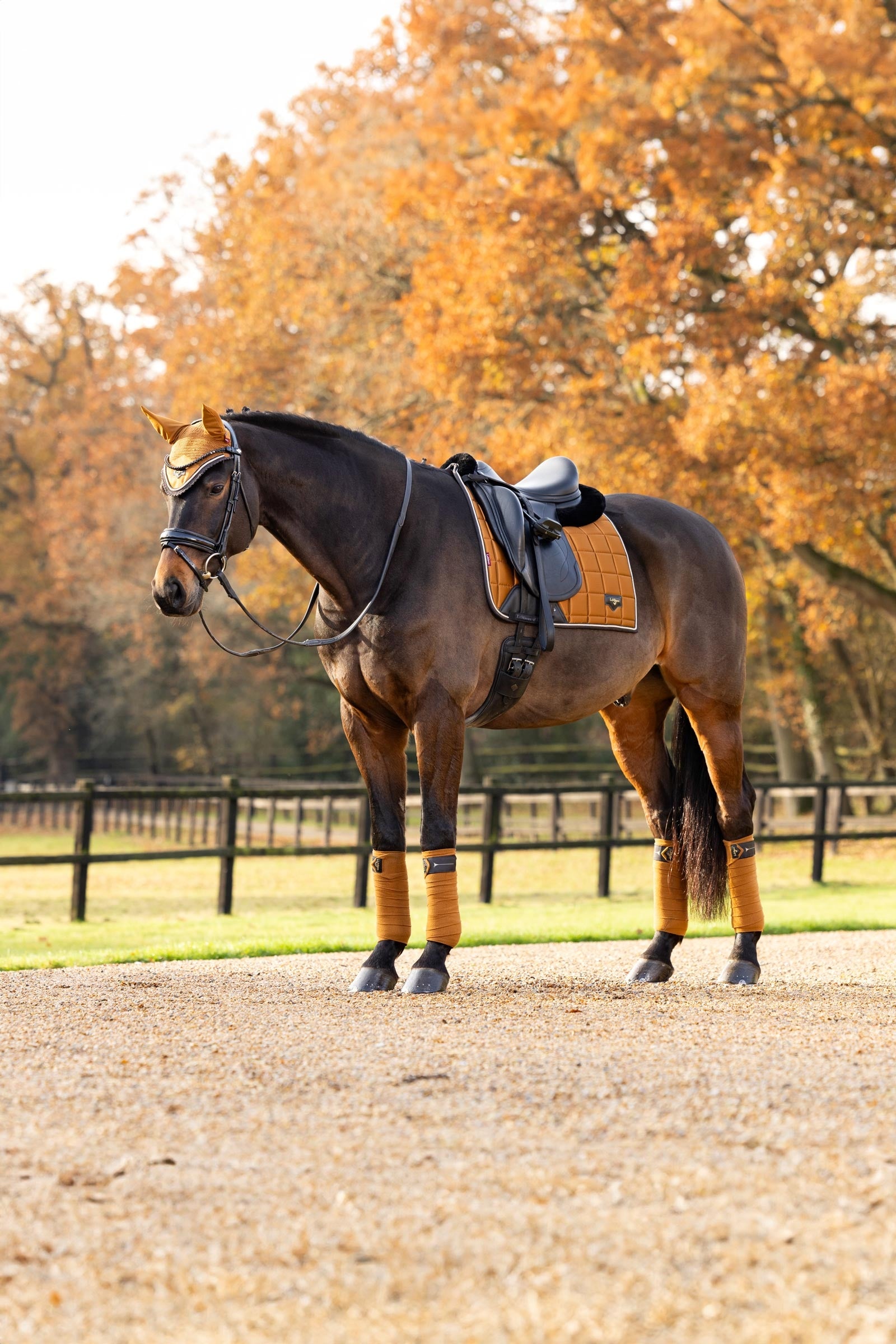 LeMieux Loire Classic Square Dressage Saddle Pad Saddle Pads