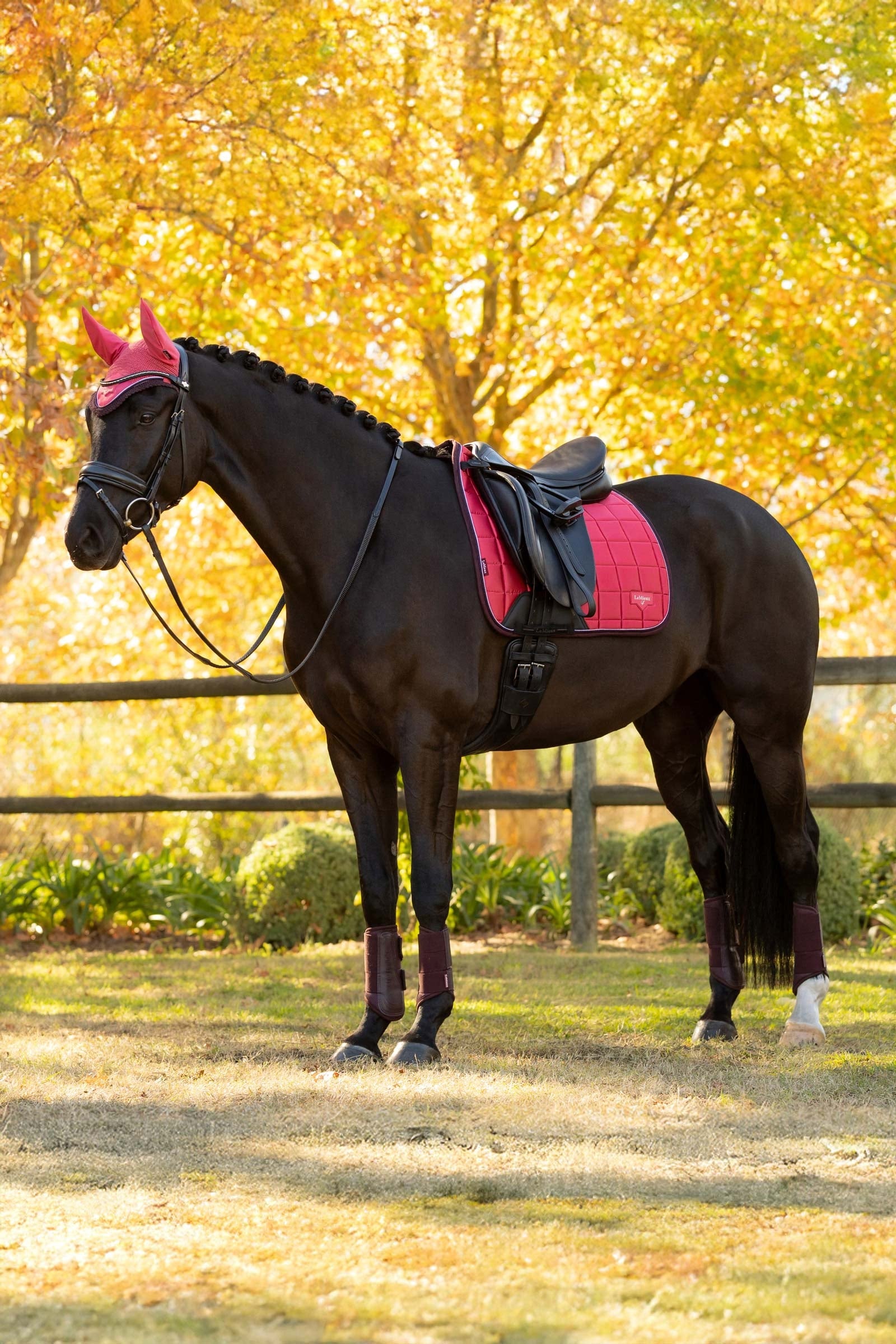 LeMieux Loire Classic Square Dressage Saddle Pad Saddle Pads