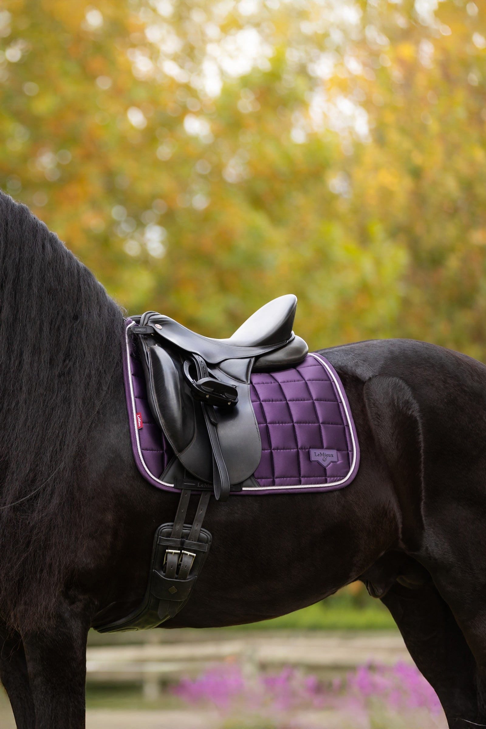 LeMieux Loire Classic Square Dressage Saddle Pad Saddle Pads