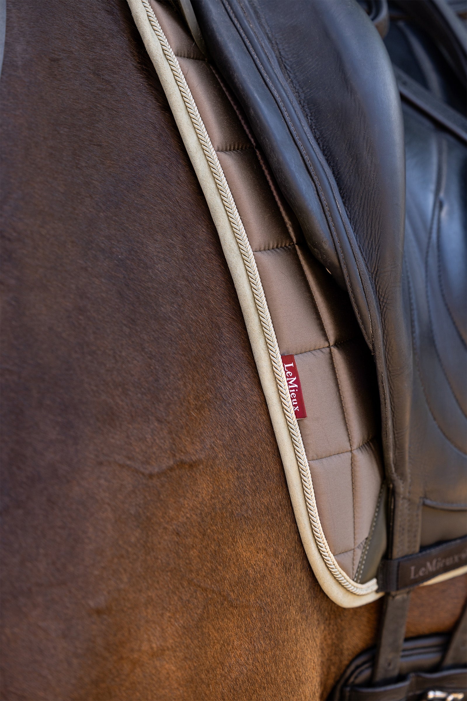 LeMieux Loire Classic Square Dressage Saddle Pad Saddle Pads