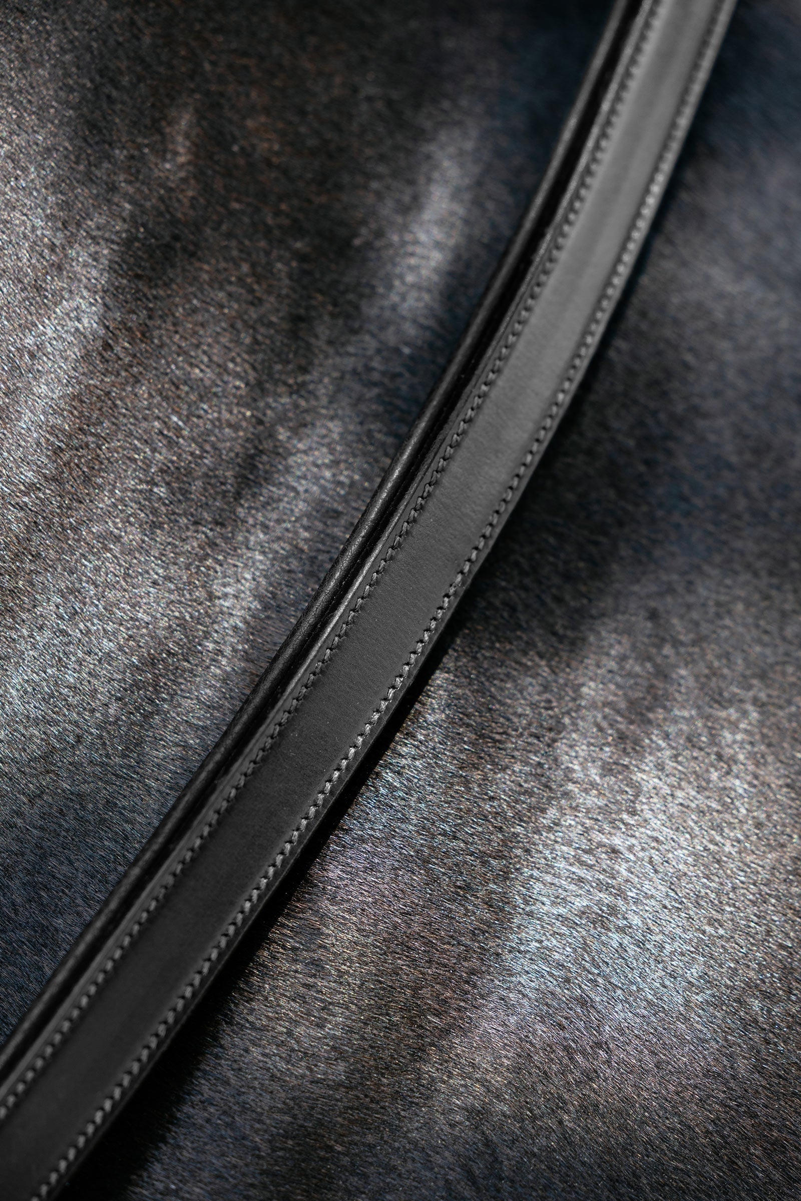 LeMieux Leather Neck Strap Bridles & Reins