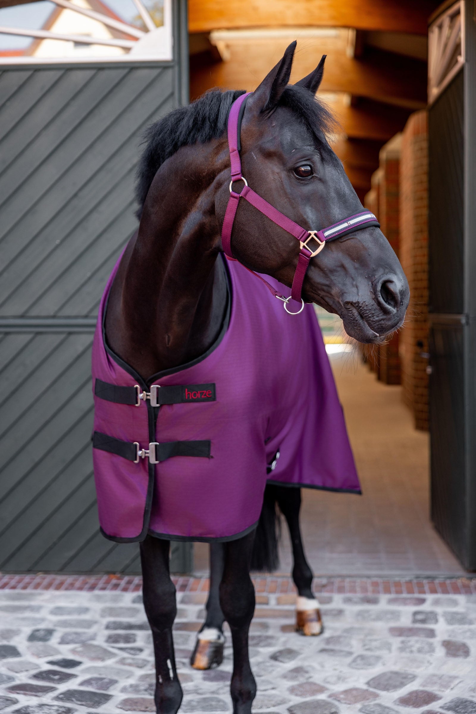 Horze Newbridge Turnout Rug, 100g Horse Rugs