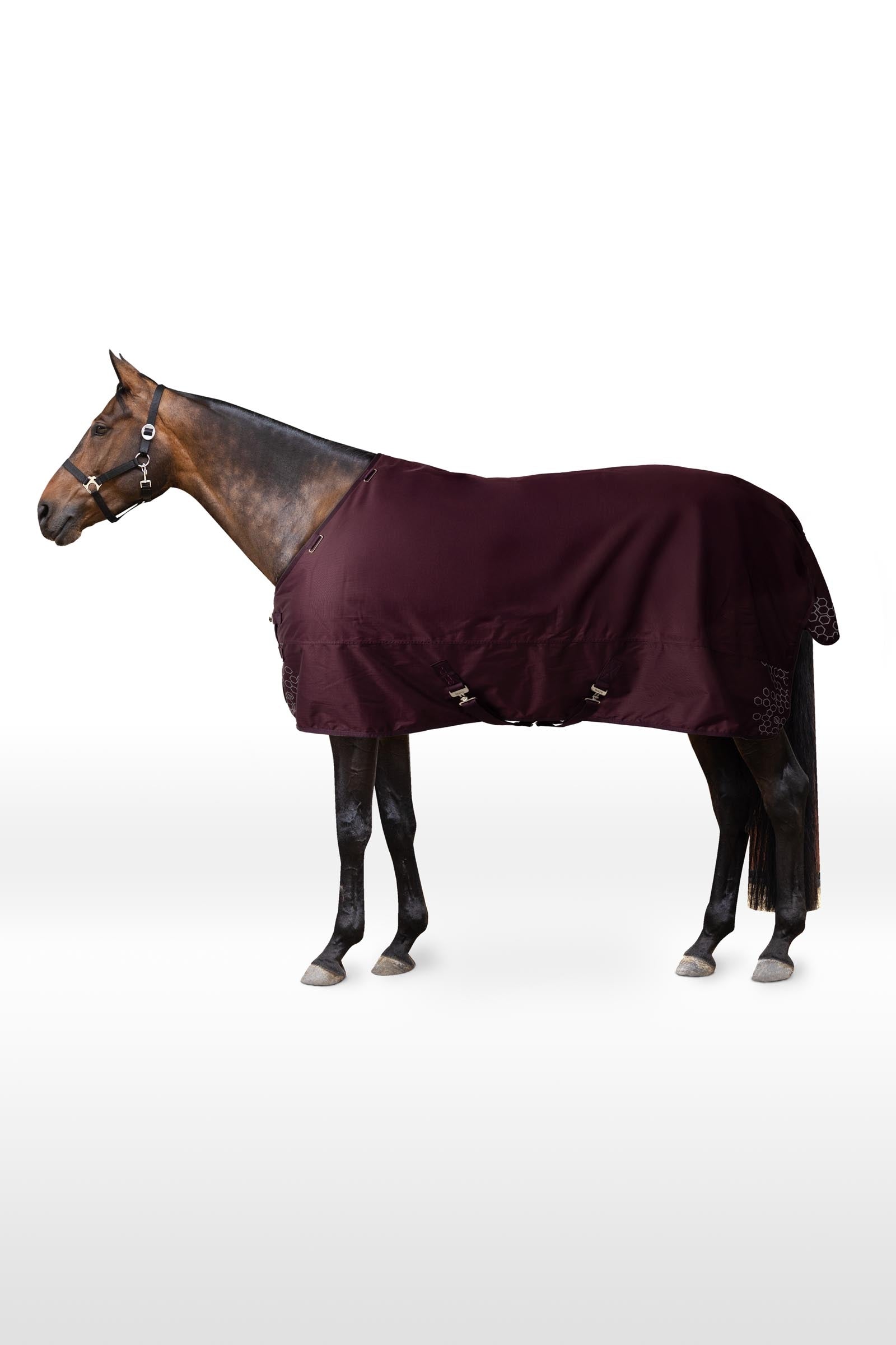Horze Newbridge outdoordeken, 100g Paardendekens