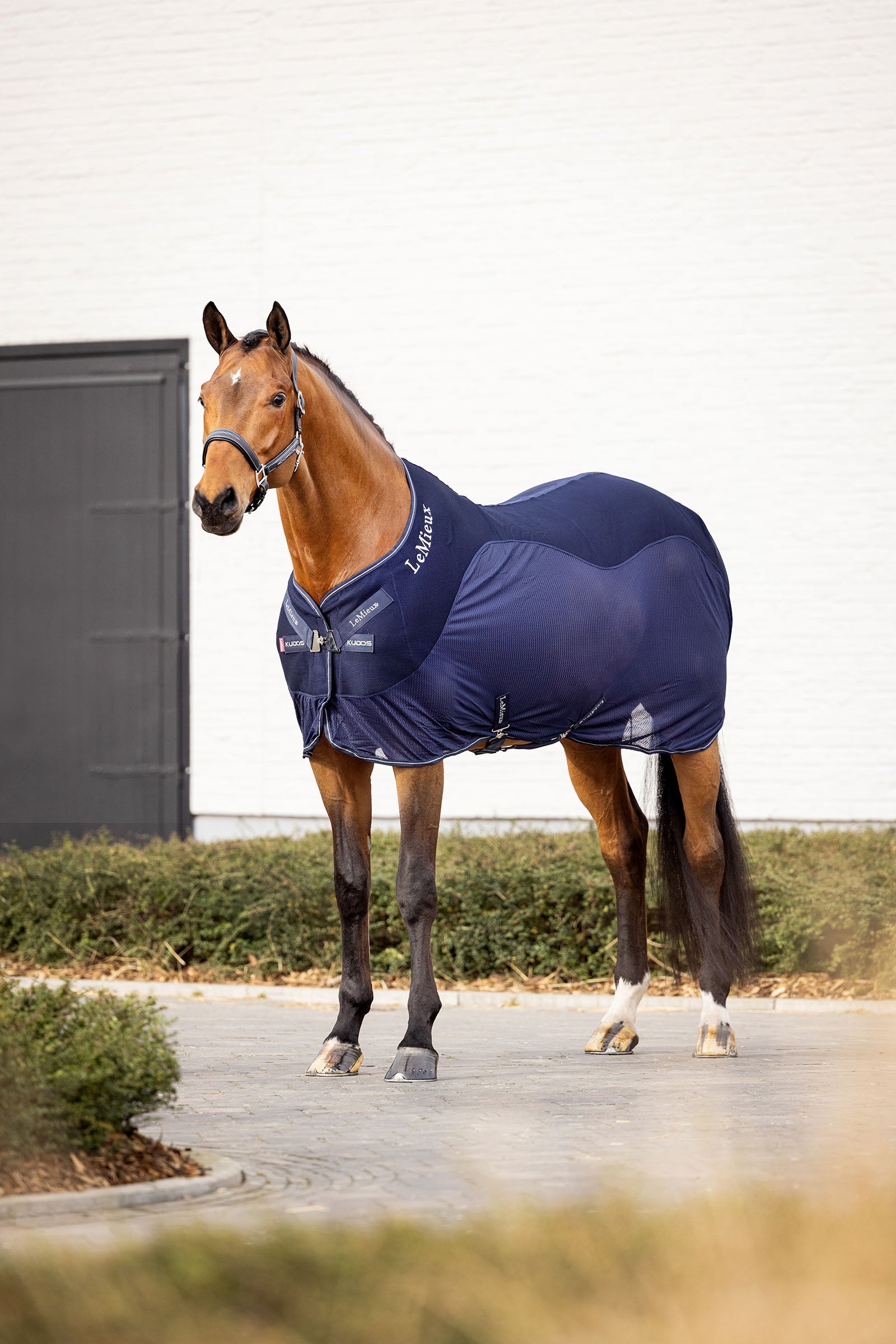 LeMieux Kudos sportieve mesh cooler deken Paardendekens