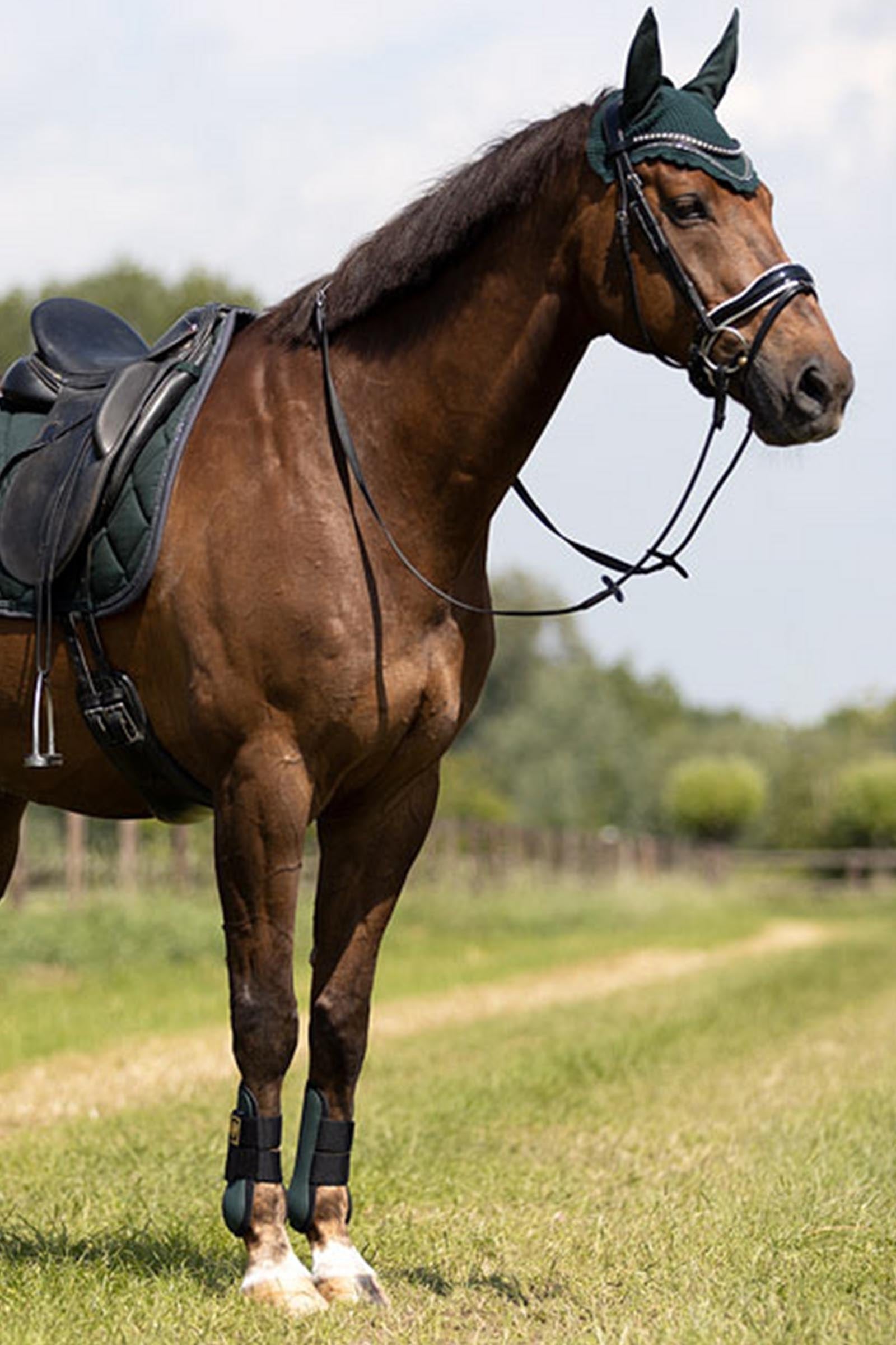 BR Event Tendon Boots Leg & Hoof Protection