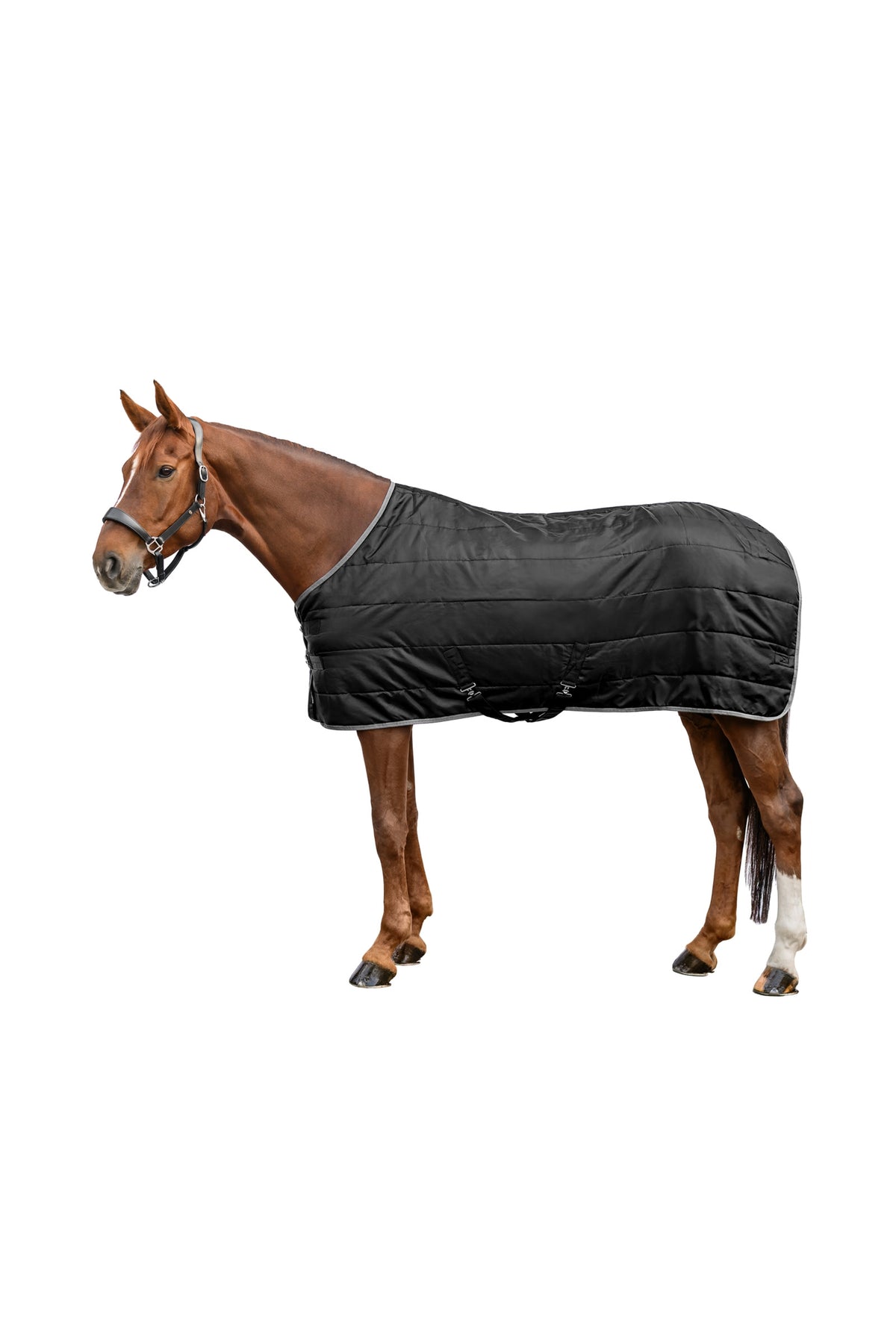 Waldhausen ECONOMIC 420D Staldeken, 300 g Paardendekens