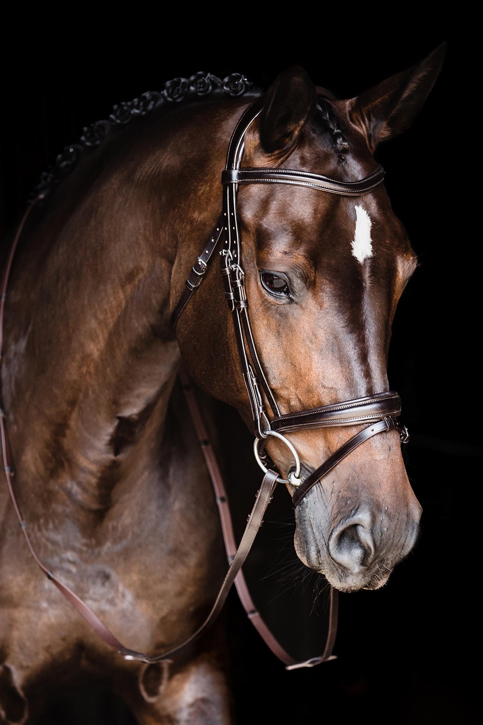 Schockemöhle Sports Schockemoehle Sports SP Monza Bridle Bridles & Reins