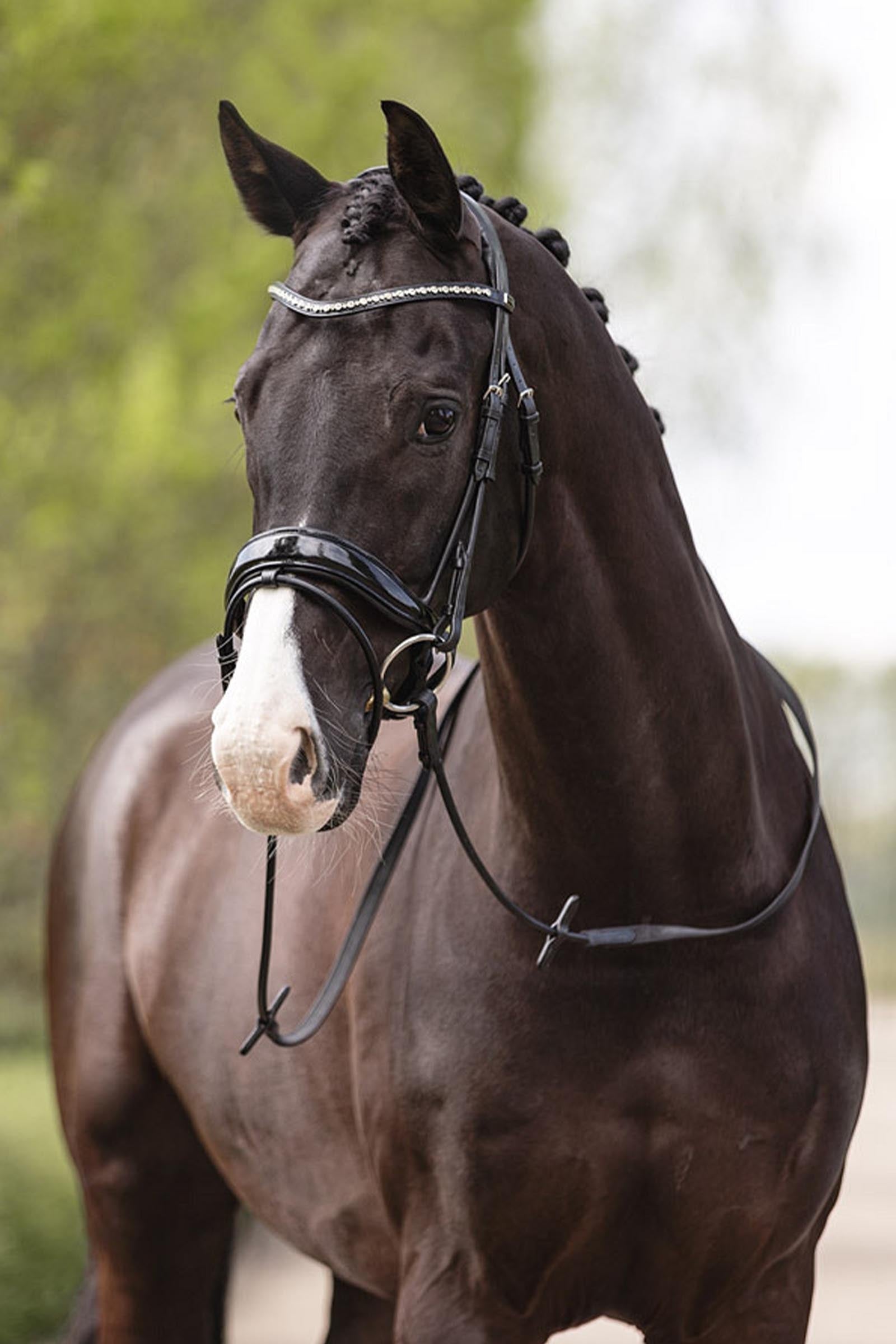 Anky ANKY Anatomic Comfort Fit Bridle With Pull Back Double Bridles & Reins