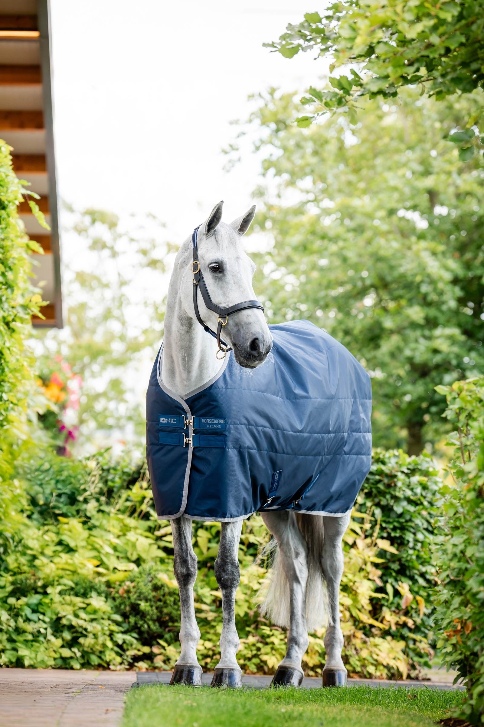 Horseware Ionic Therapy Staldeken, 50g Paardendekens