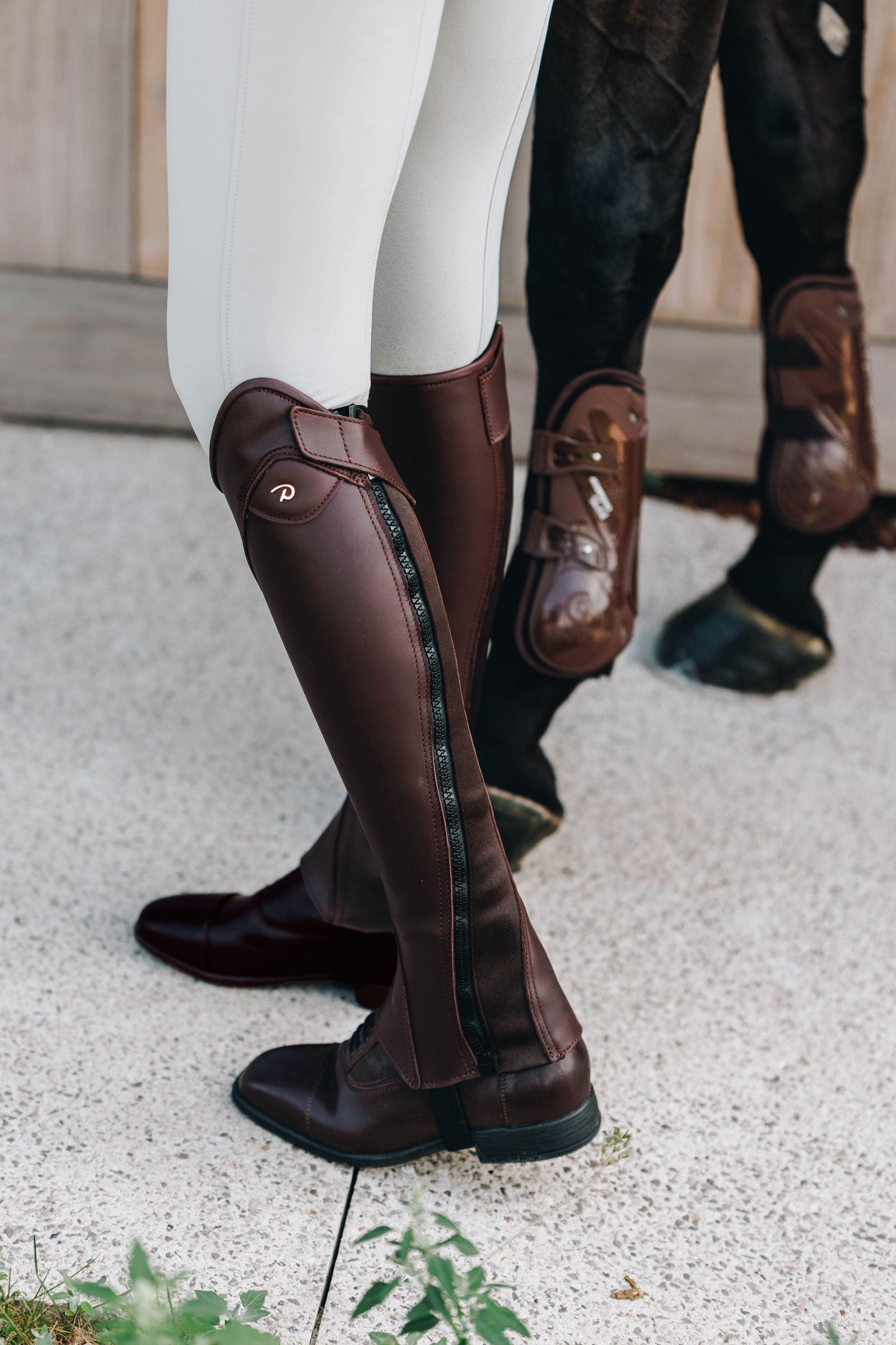 Dy'on Classic Comfort Half Chaps Riding Boots & Riding Shoes