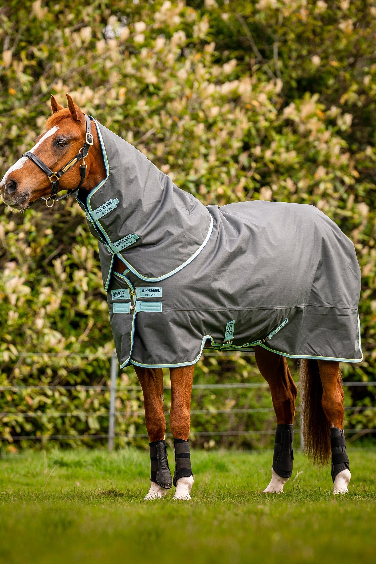 Horseware Amigo Hero Ripstop Plus outdoordeken met afneembare hals, 200g Paardendekens