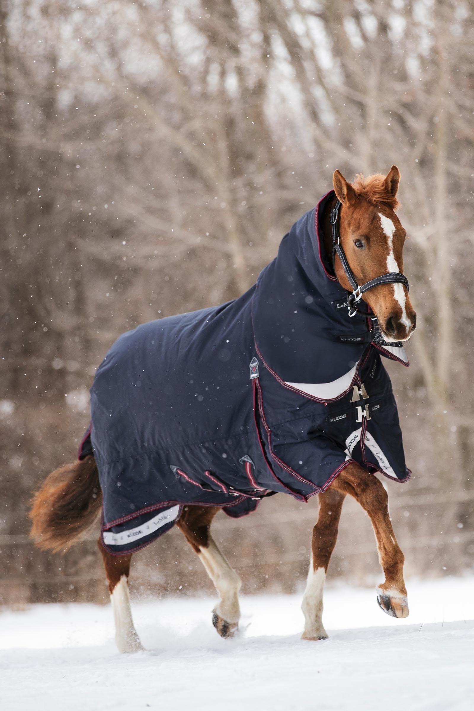 LeMieux Kudos Turnout Rug, 200 g Paardendekens