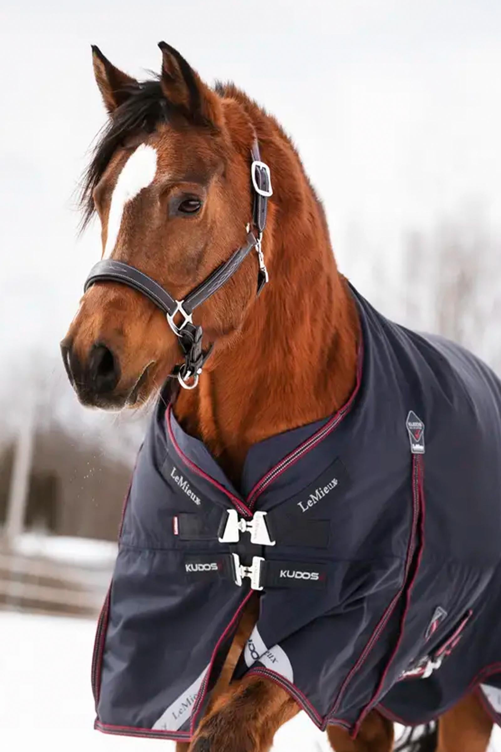 LeMieux Kudos Turnout Rug, 200 g Horse Rugs