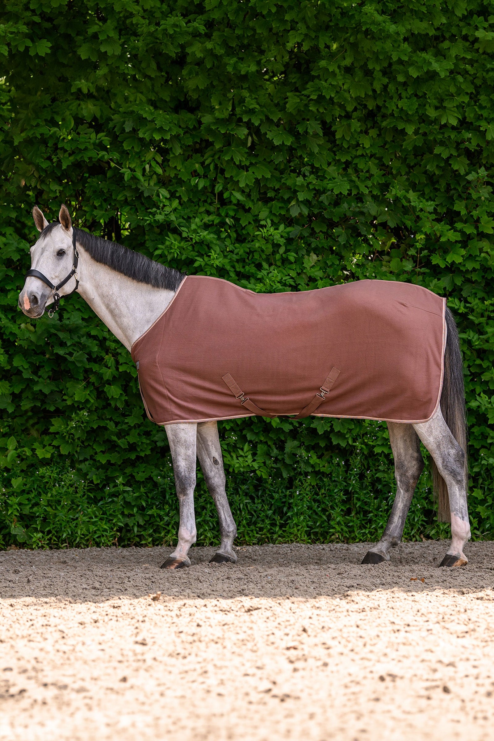 Waldhausen ECONOMIC Fleece Rug with Cross Surcingles Horse Rugs