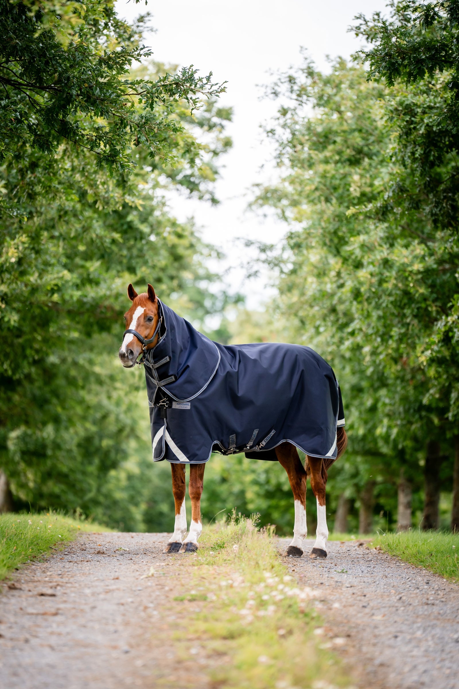 Horseware Rambo 1680D Plus Vario Layer turnoutdeken, 250 g Paardendekens