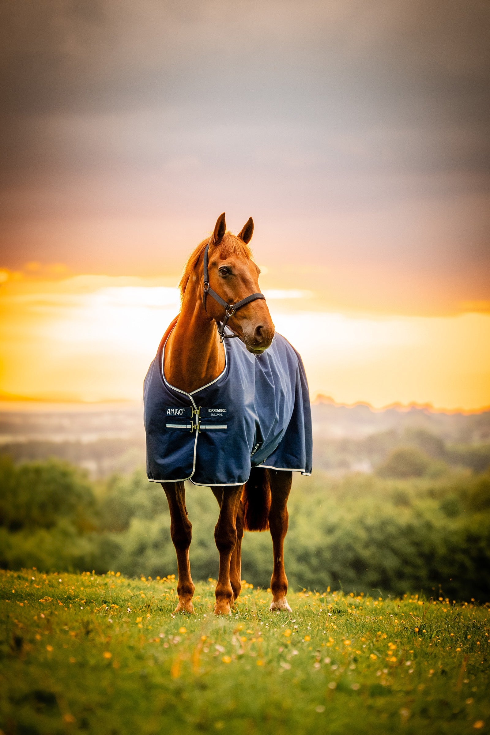 Horseware Amigo Ripstop 900D turnoutdeken met fleecevoering, 50 g Paardendekens