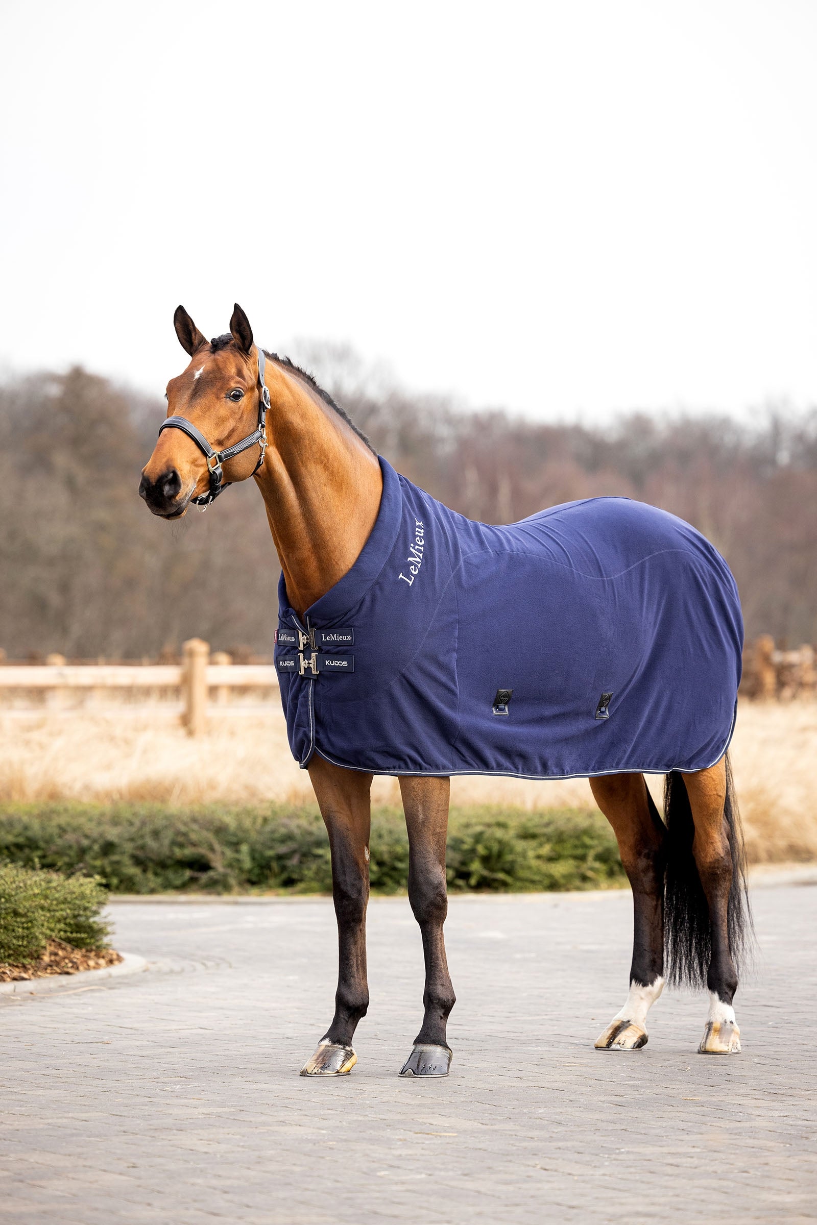 LeMieux Kudos fleece cooler deken Paardendekens