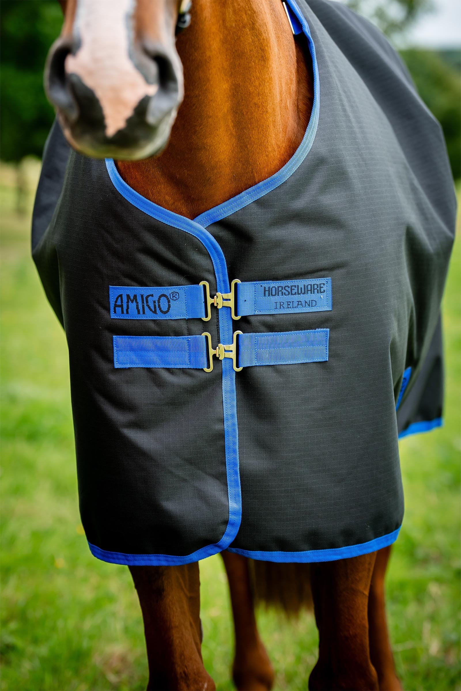 Horseware Amigo Ripstop 900D Plus Turnout, 200g Horse Rugs