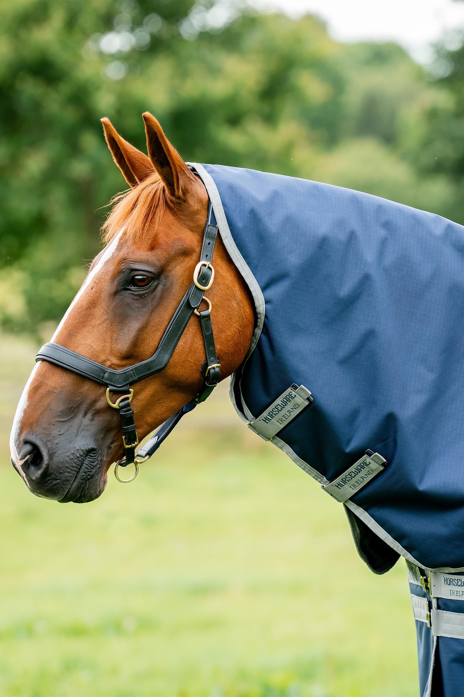 Horseware Amigo Ripstop 900D Plus Turnout, 200g Horse Rugs