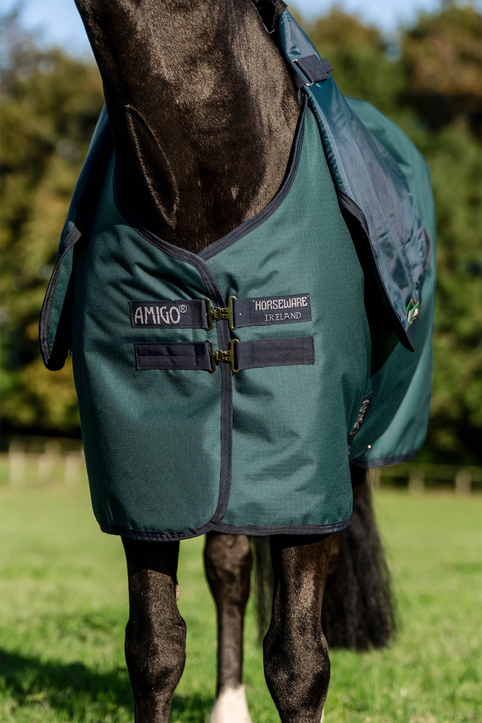 Horseware Amigo Ripstop 900D Plus Turnout, 200g Horse Rugs
