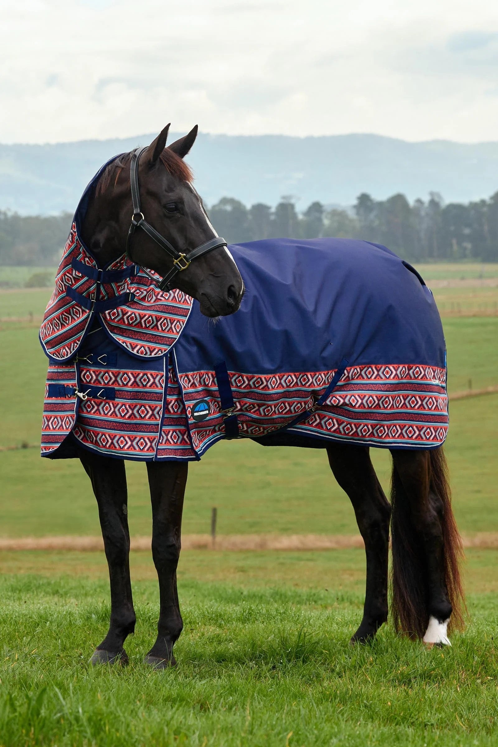Weatherbeeta Comfitec Legend Turnout Rug Detach-A-Neck 220g Paardendekens